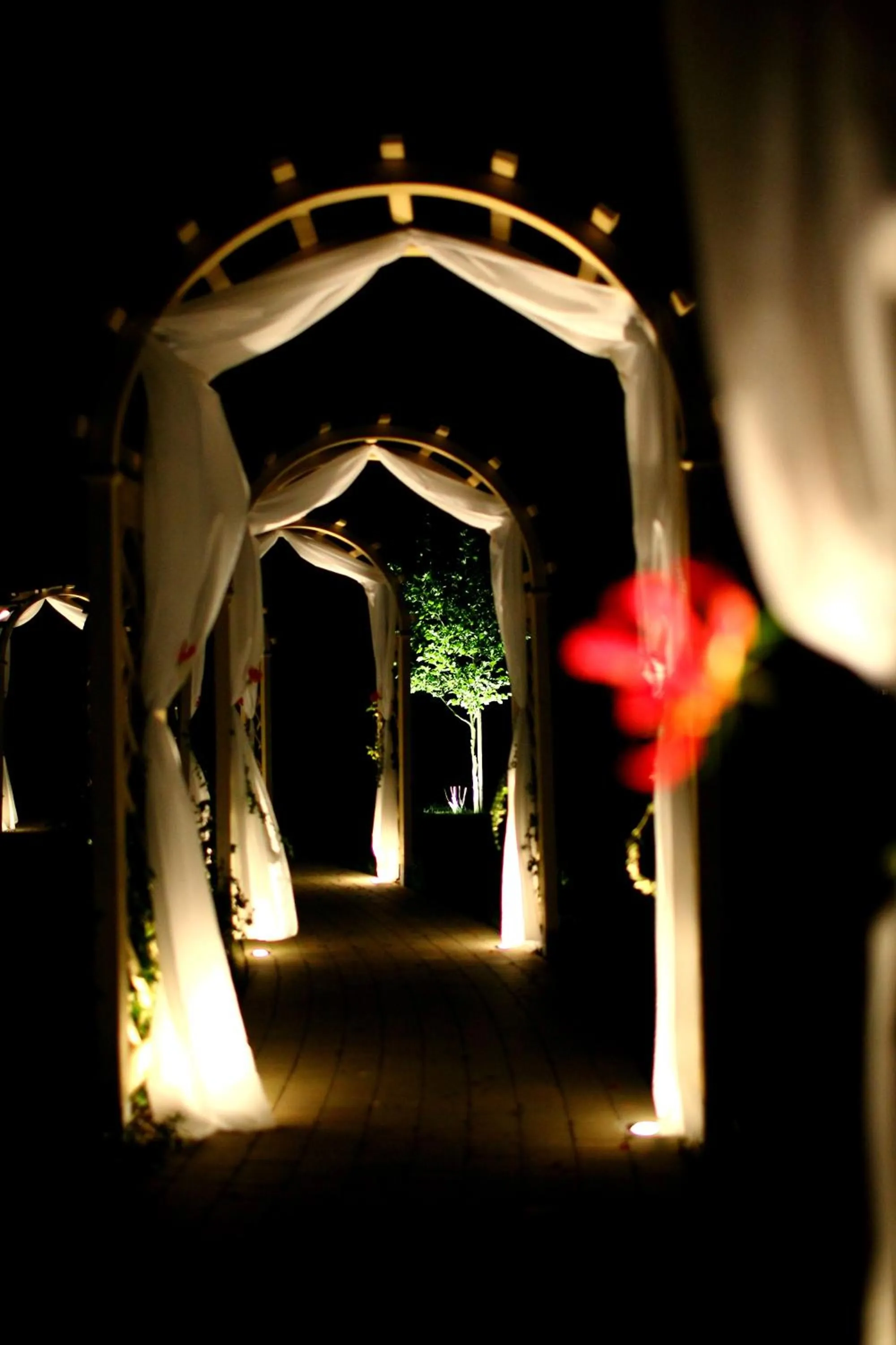 Banquet/Function facilities in Hotel Korona Spa & Wellness