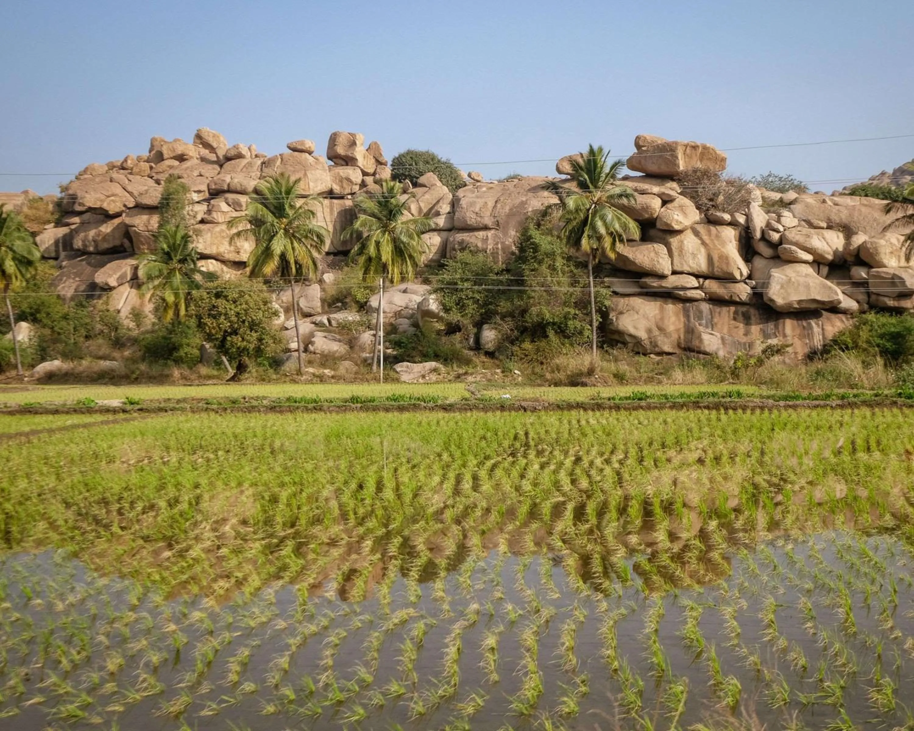 Location in Hyatt Place Hampi
