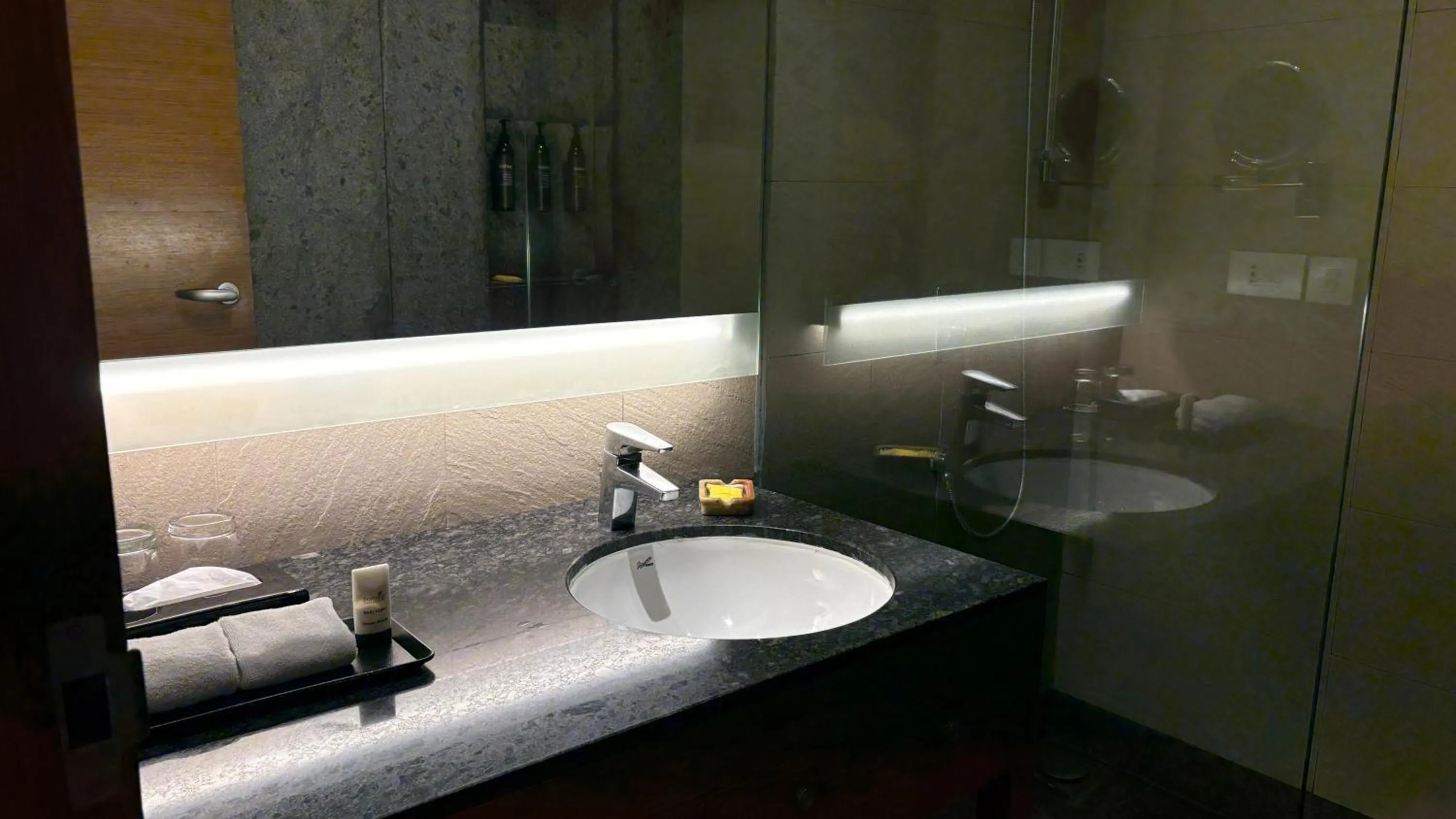 Bathroom in Hyatt Place Hampi