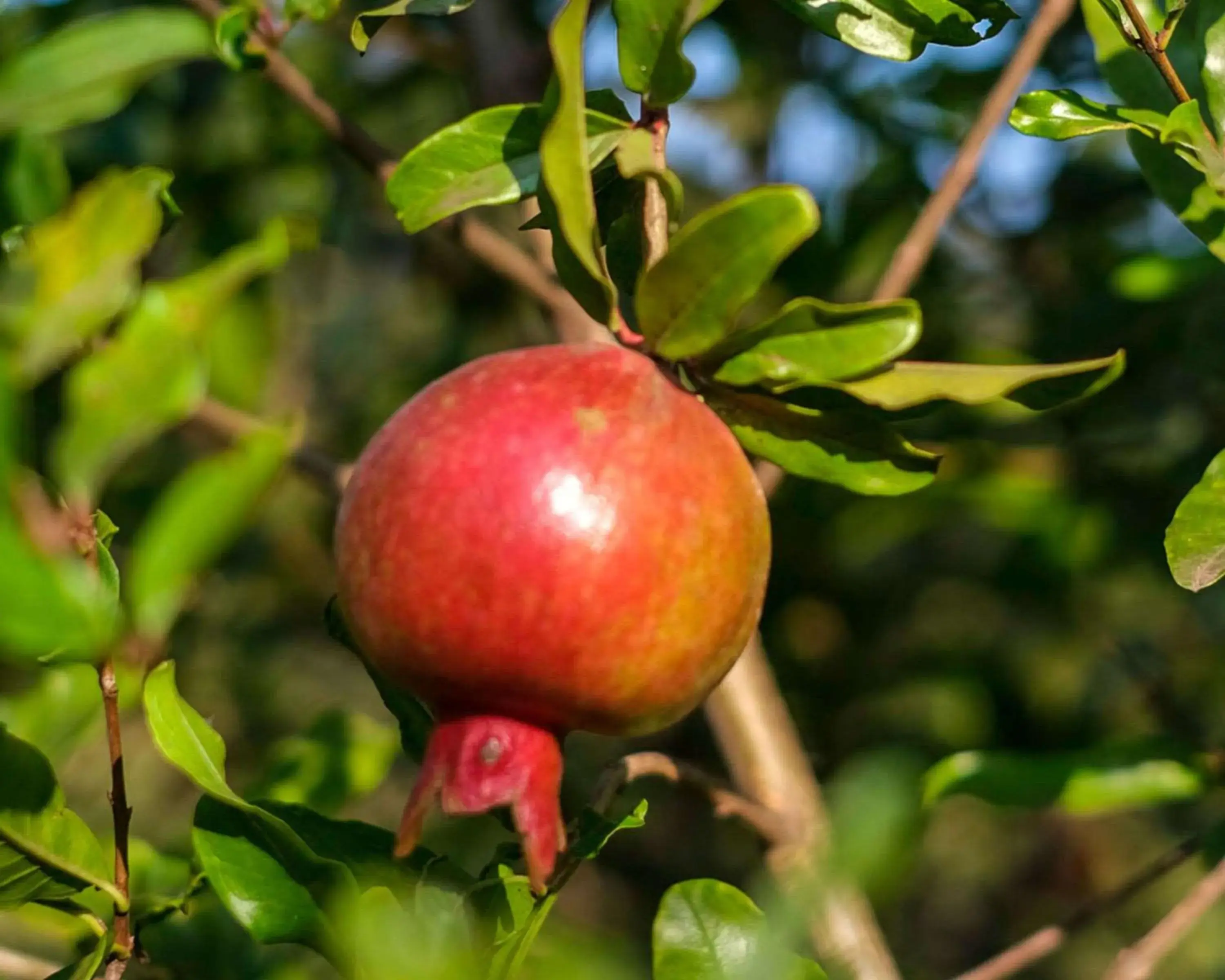 Fitness centre/facilities in Hyatt Place Hampi Fitness centre/facilities in Hyatt Place Hampi