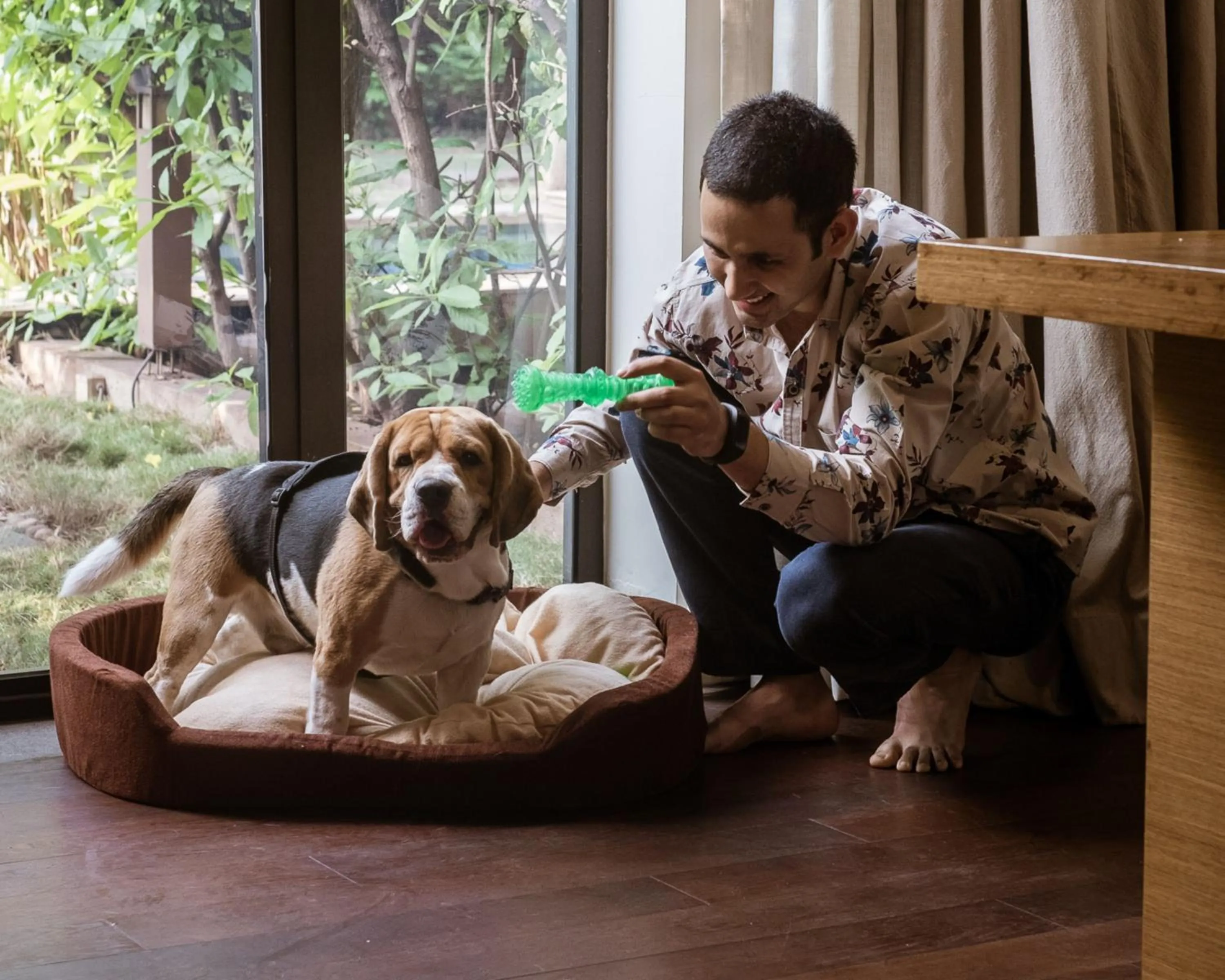 Pets in Hyatt Place Hampi