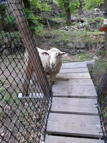 Natural landscape in Les Ecrins de Belvedere