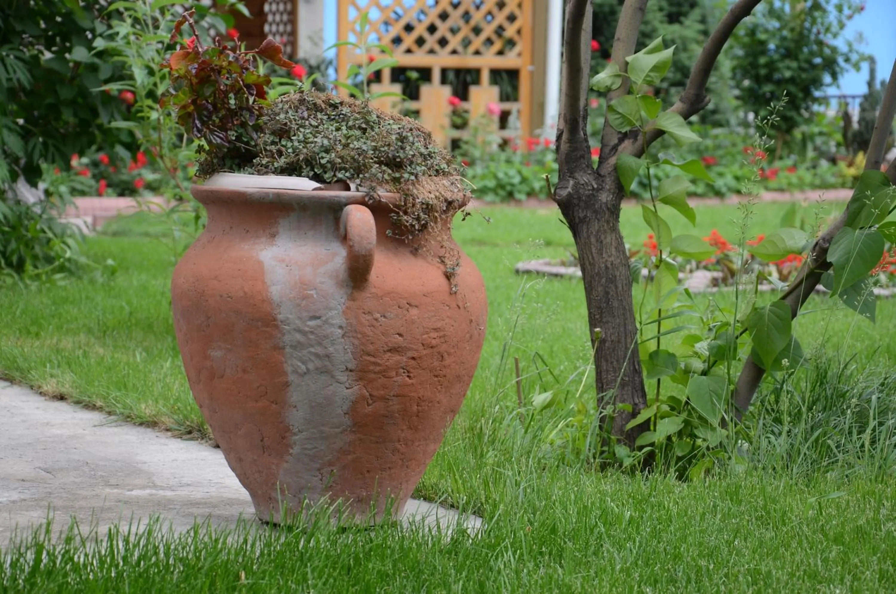 Summer in Asian Mountains