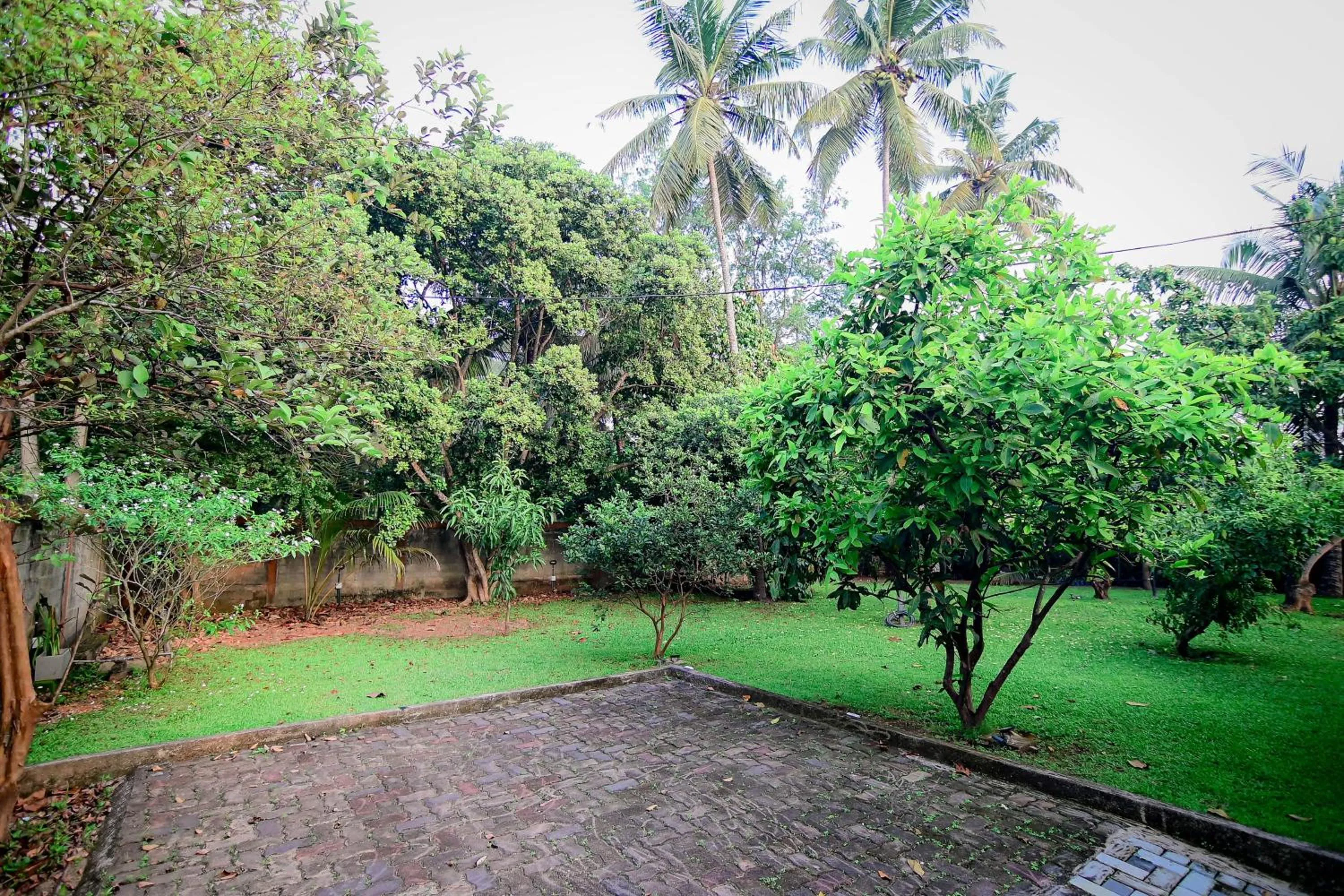 Garden in Airport Villa