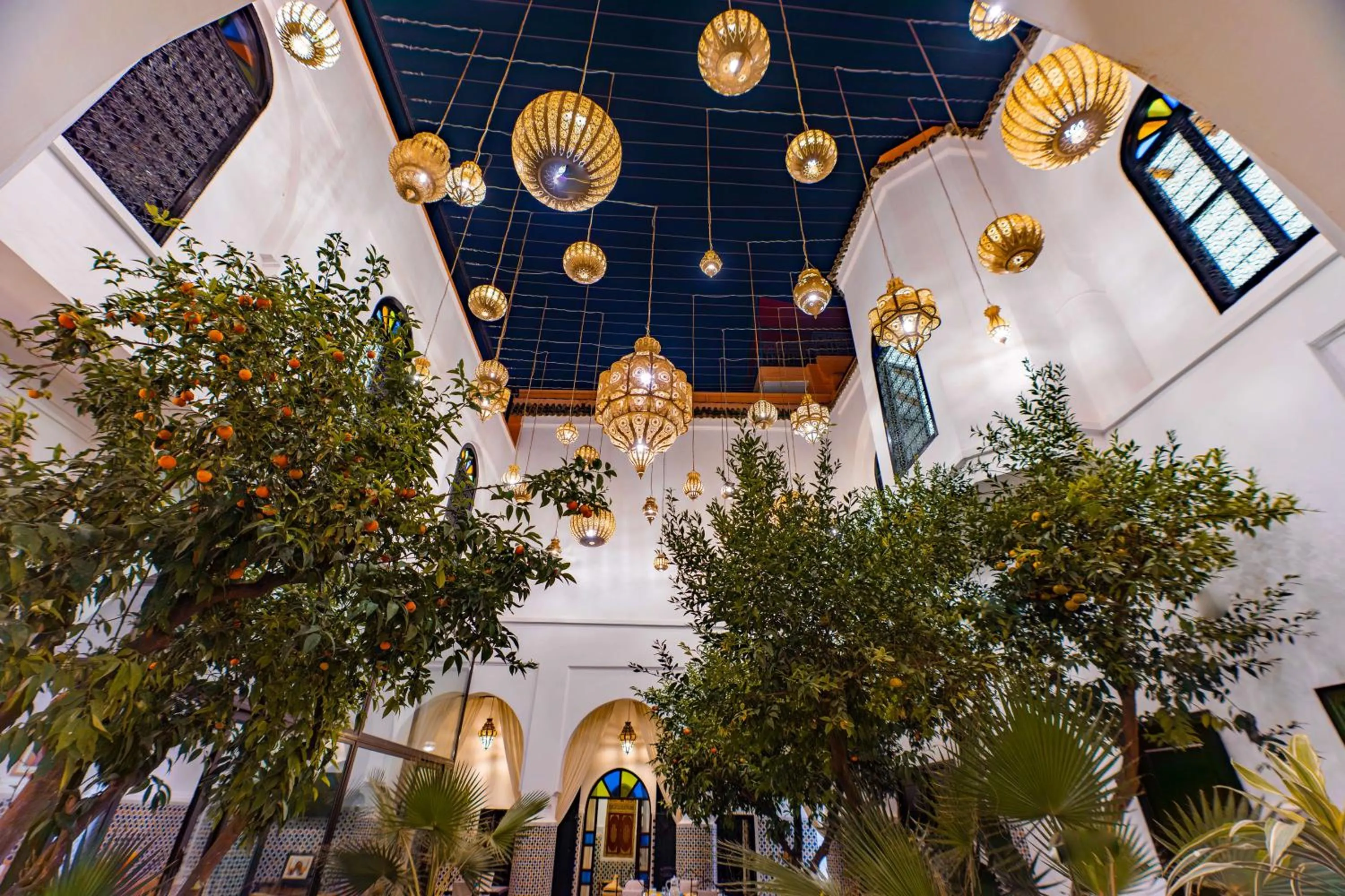 Garden in Riad Dar Dialkoum