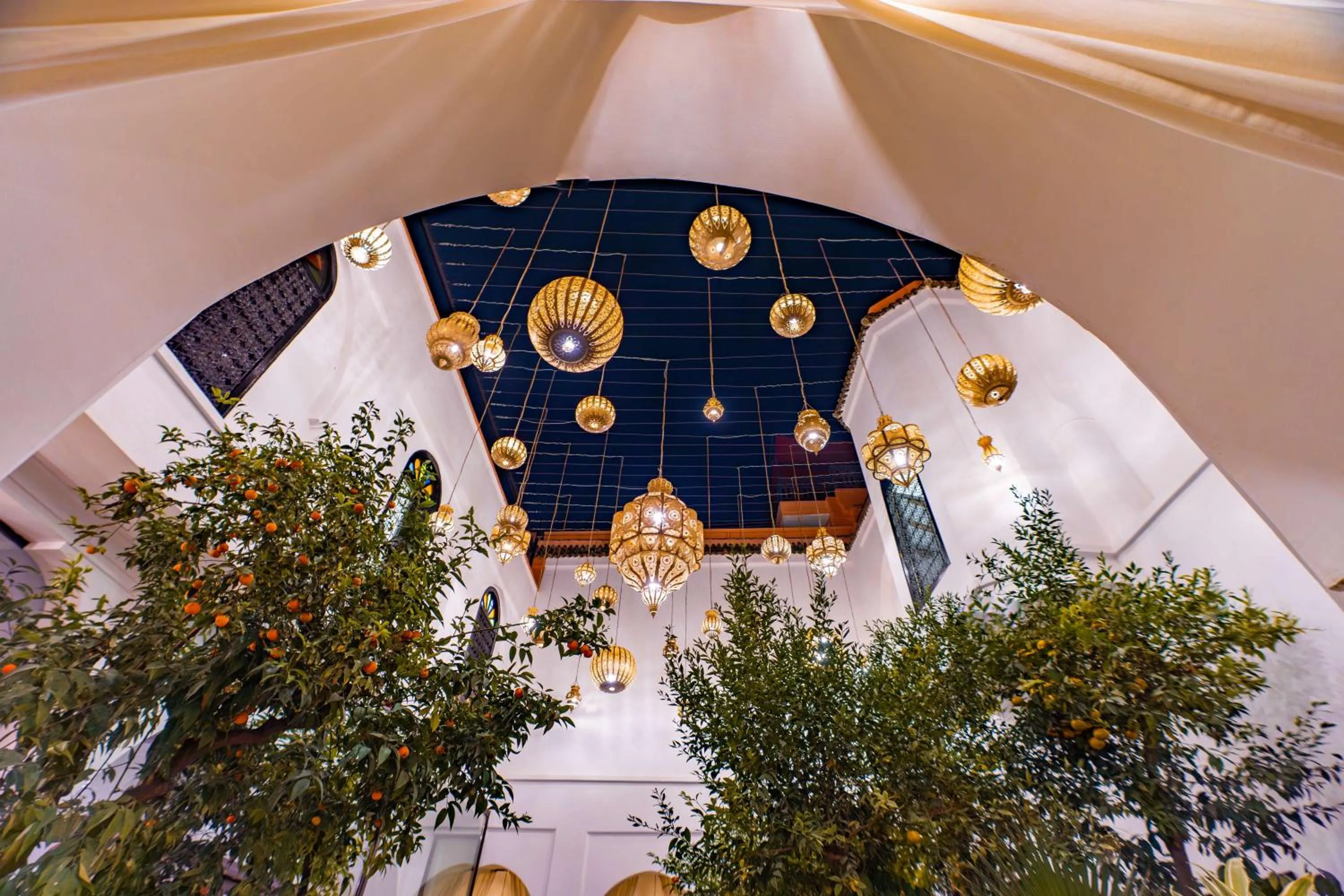 Garden in Riad Dar Dialkoum