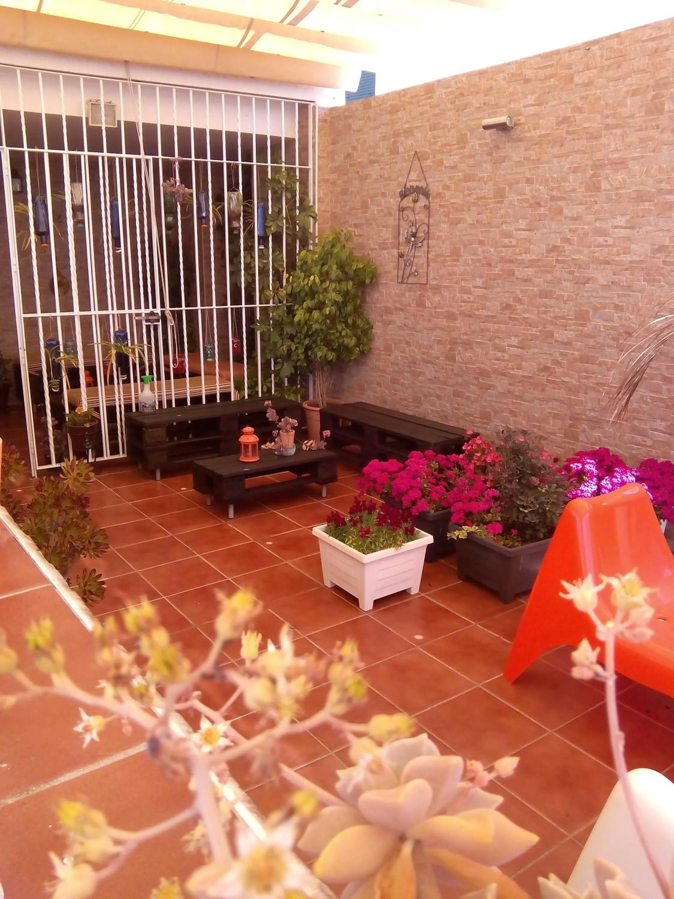 Other in Pension Doña Trinidad