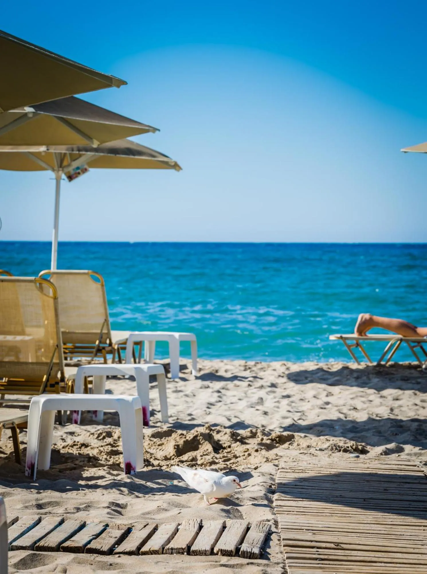Beach in Theo Beach Hotel Apartments