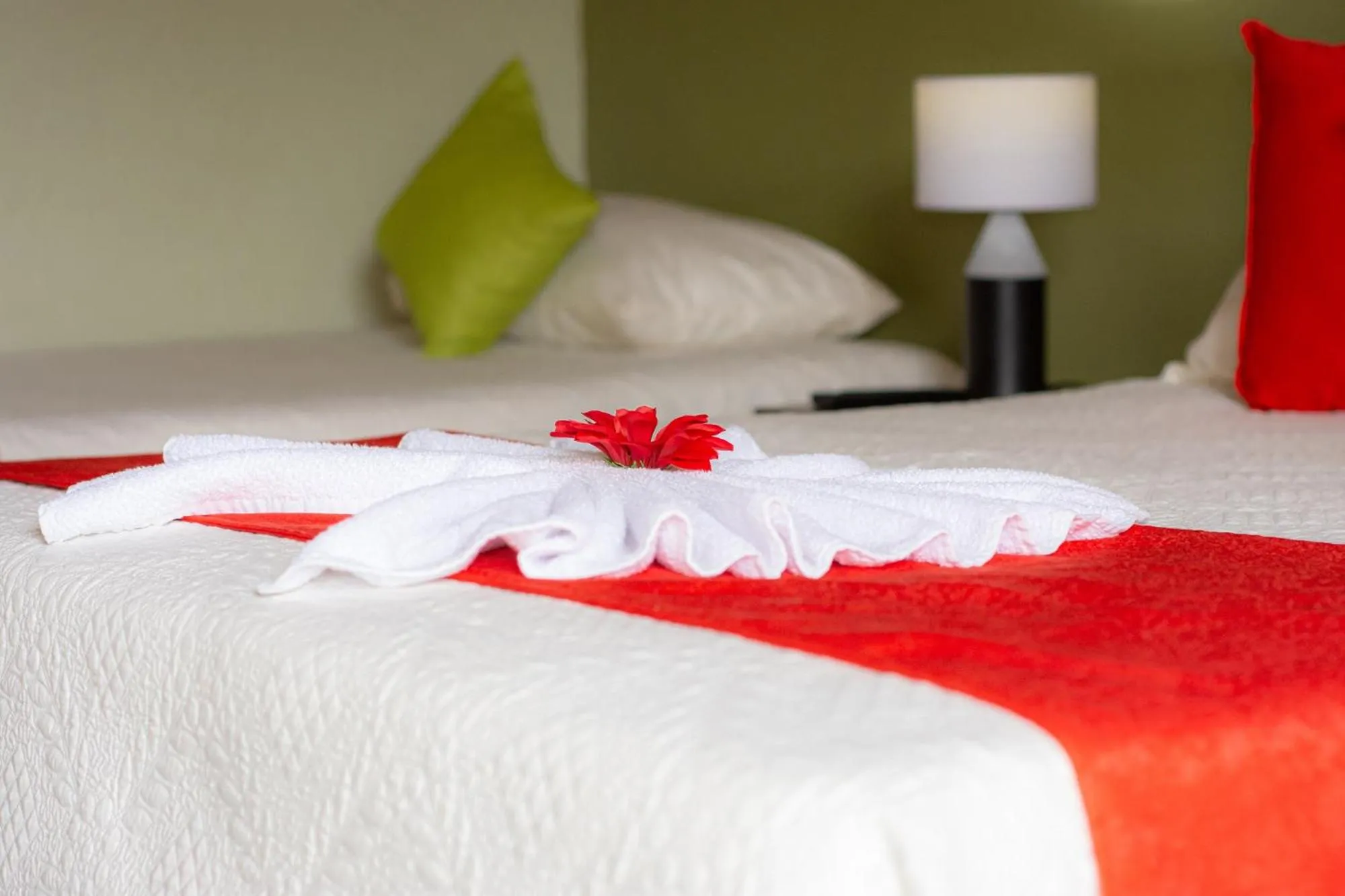 Bed in Nafre House B&B Monteverde