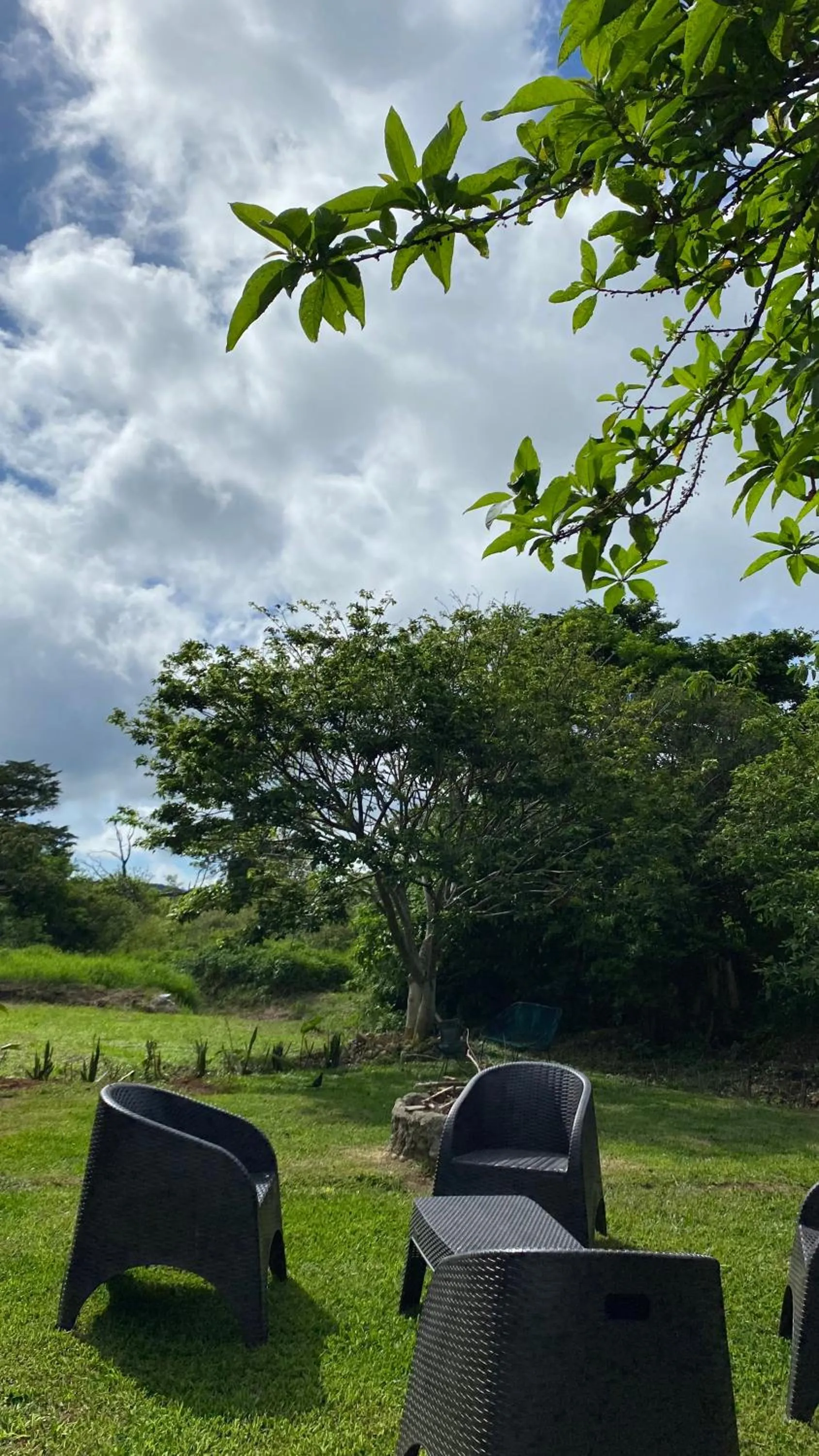 Nafre House B&B Monteverde