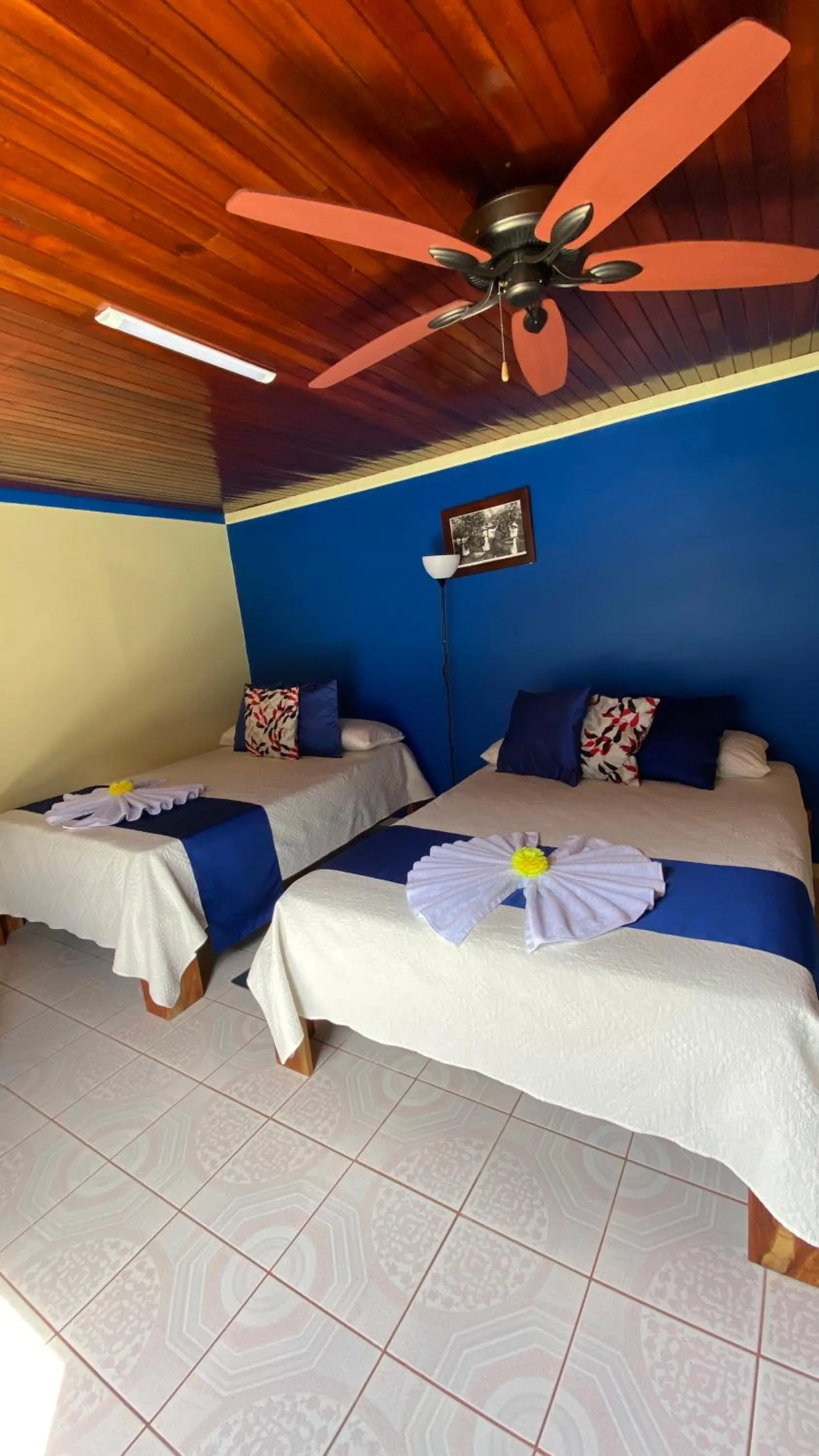 Bed in Nafre House B&B Monteverde