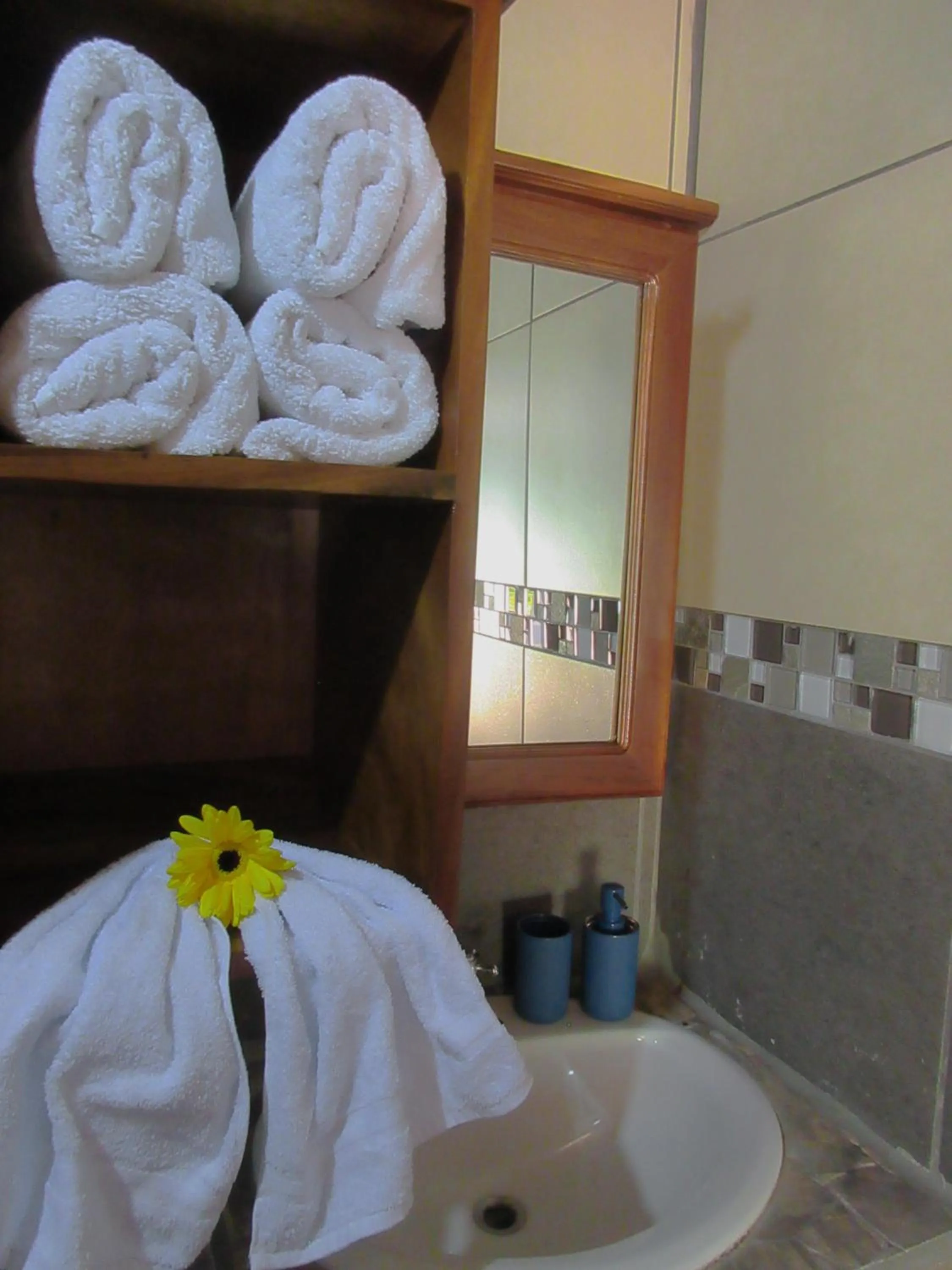 Bathroom in Nafre House B&B Monteverde