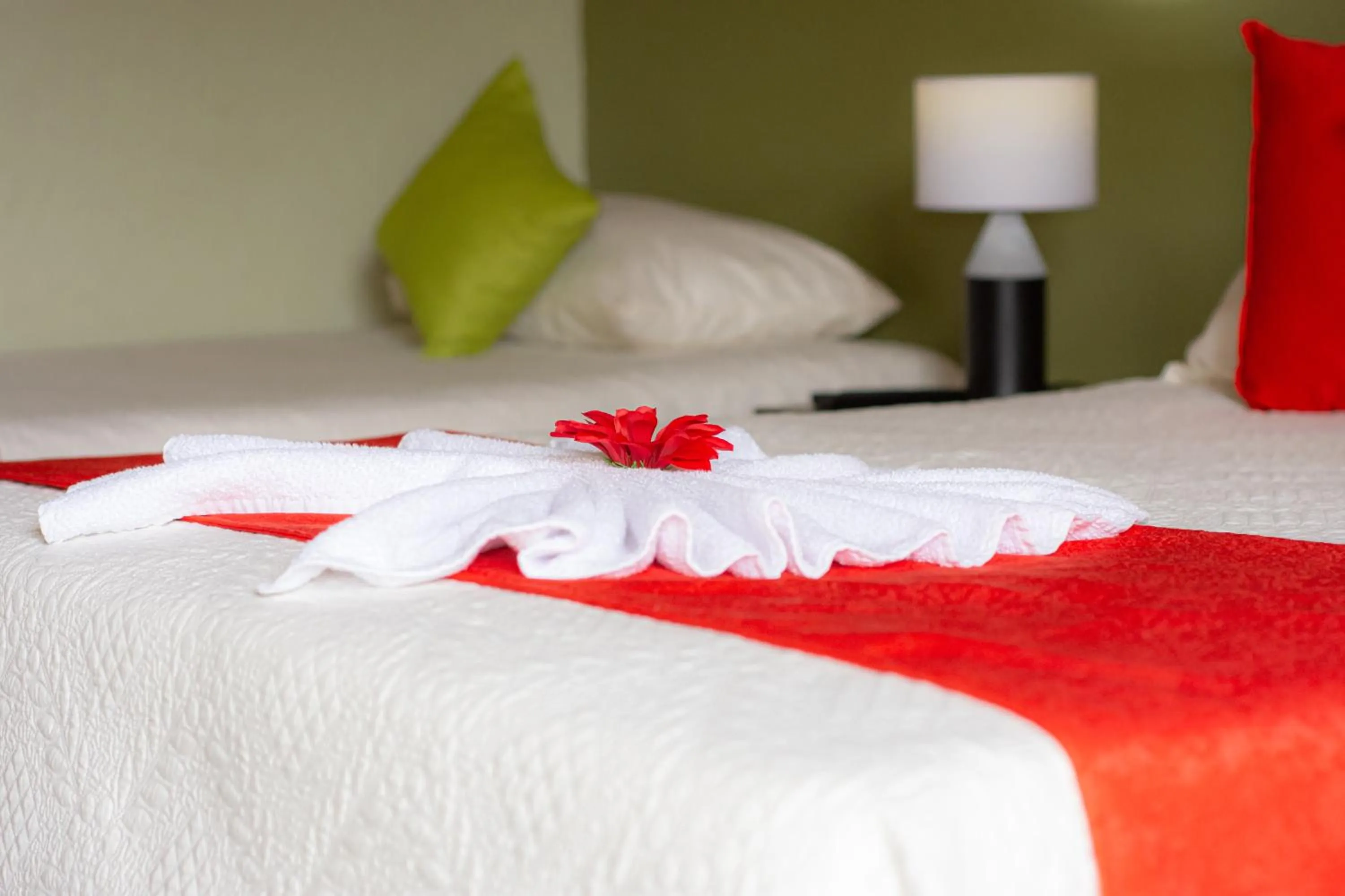 Bed in Nafre House B&B Monteverde