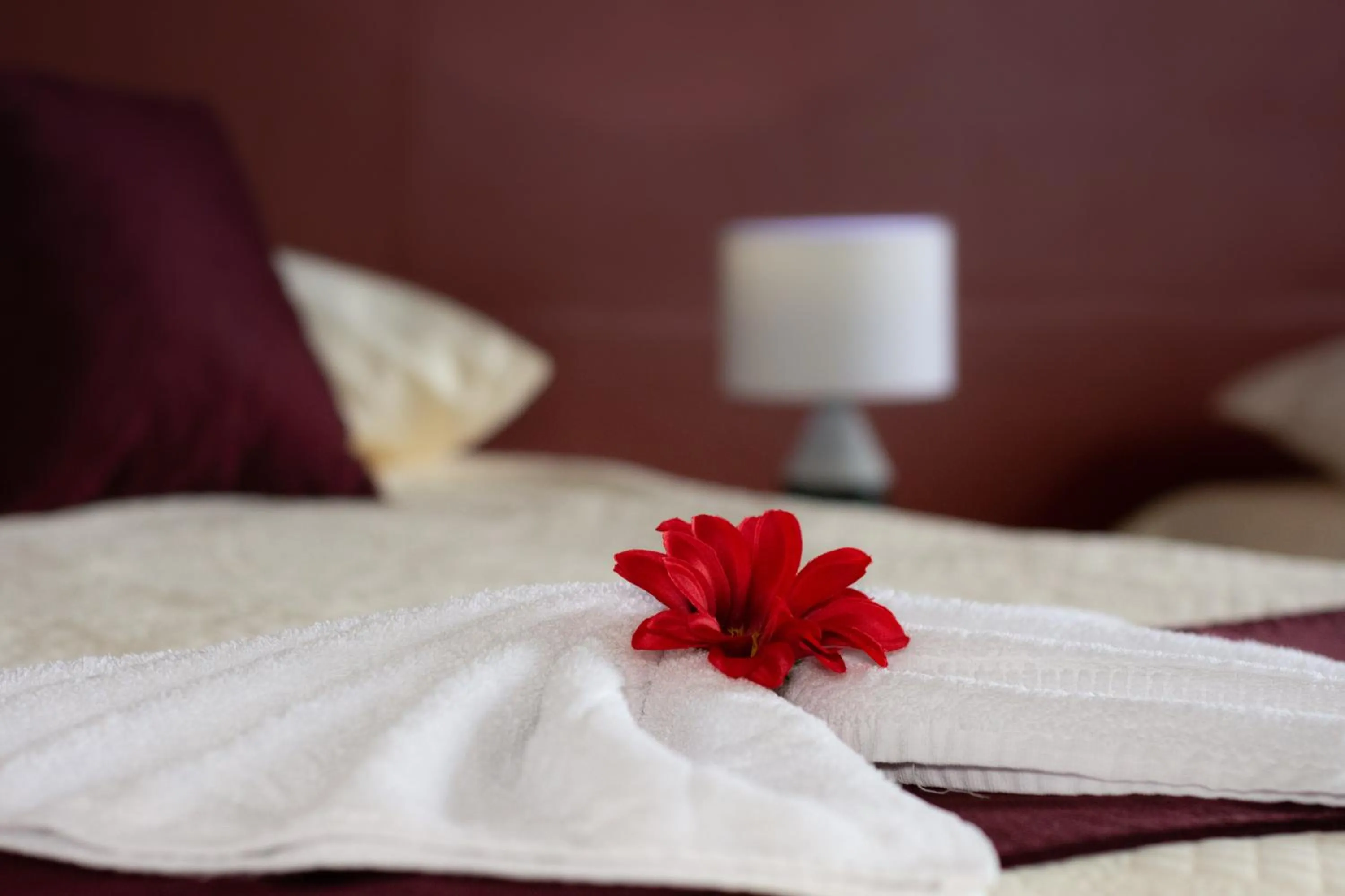 Bed in Nafre House B&B Monteverde