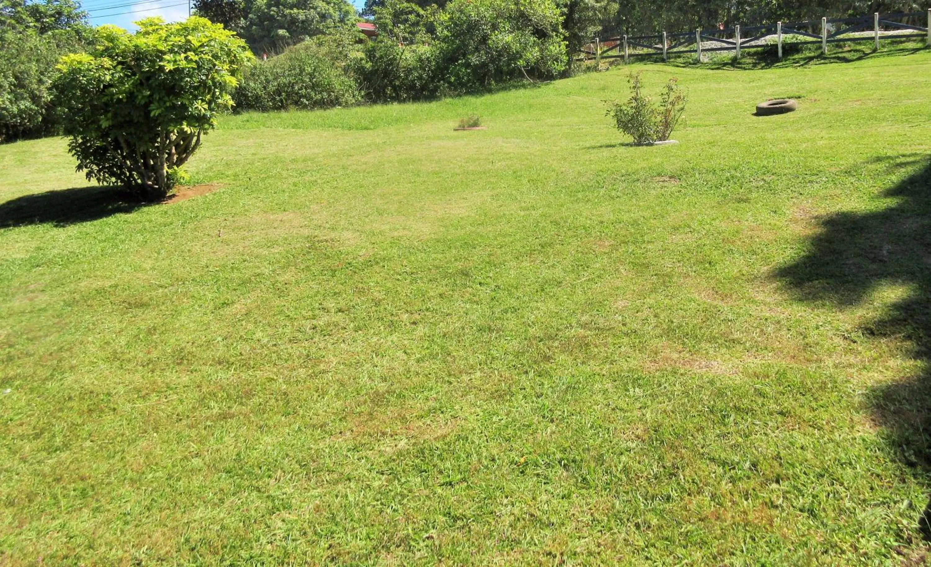 Garden in Nafre House B&B Monteverde
