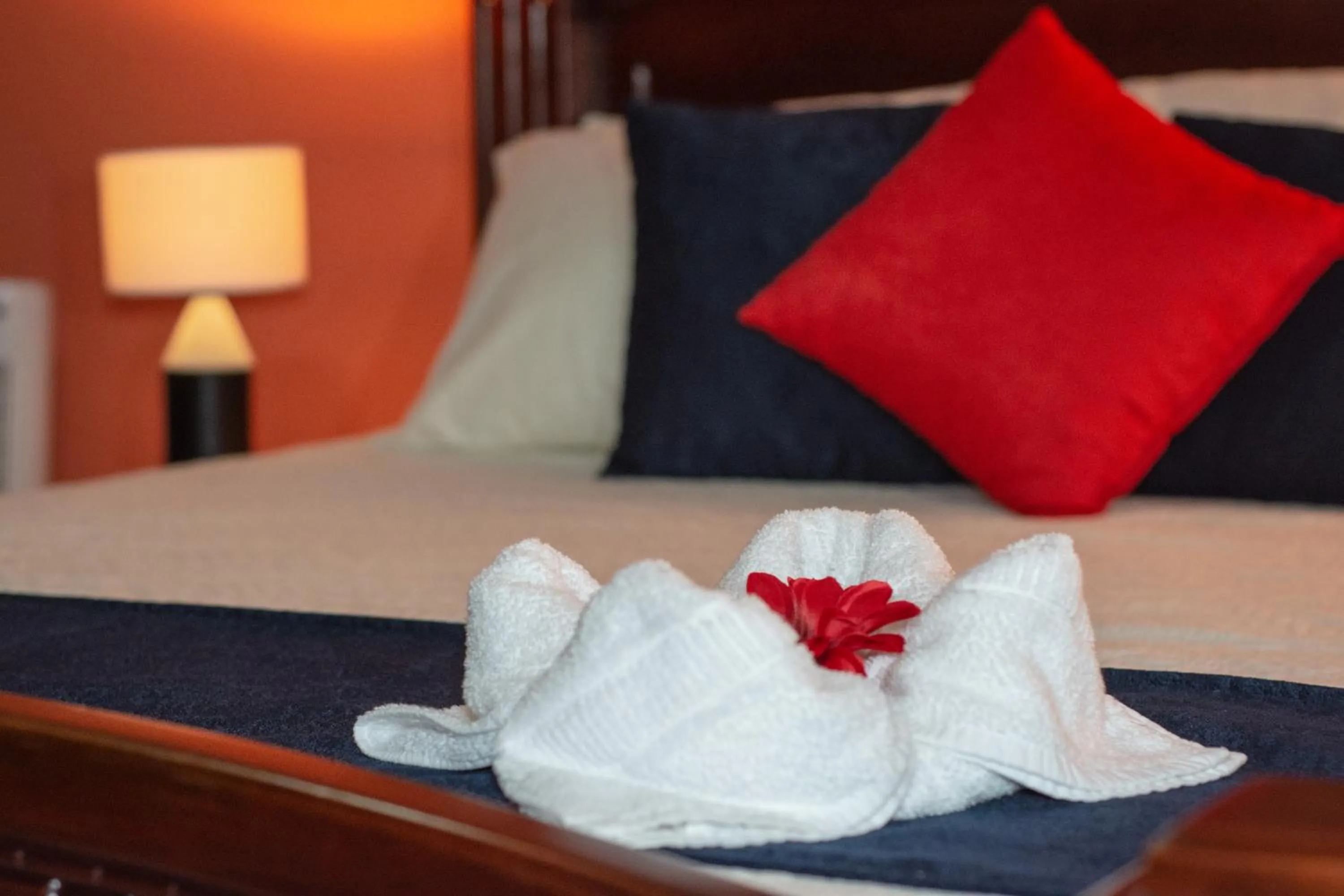 Photo of the whole room, Bed in Nafre House B&B Monteverde