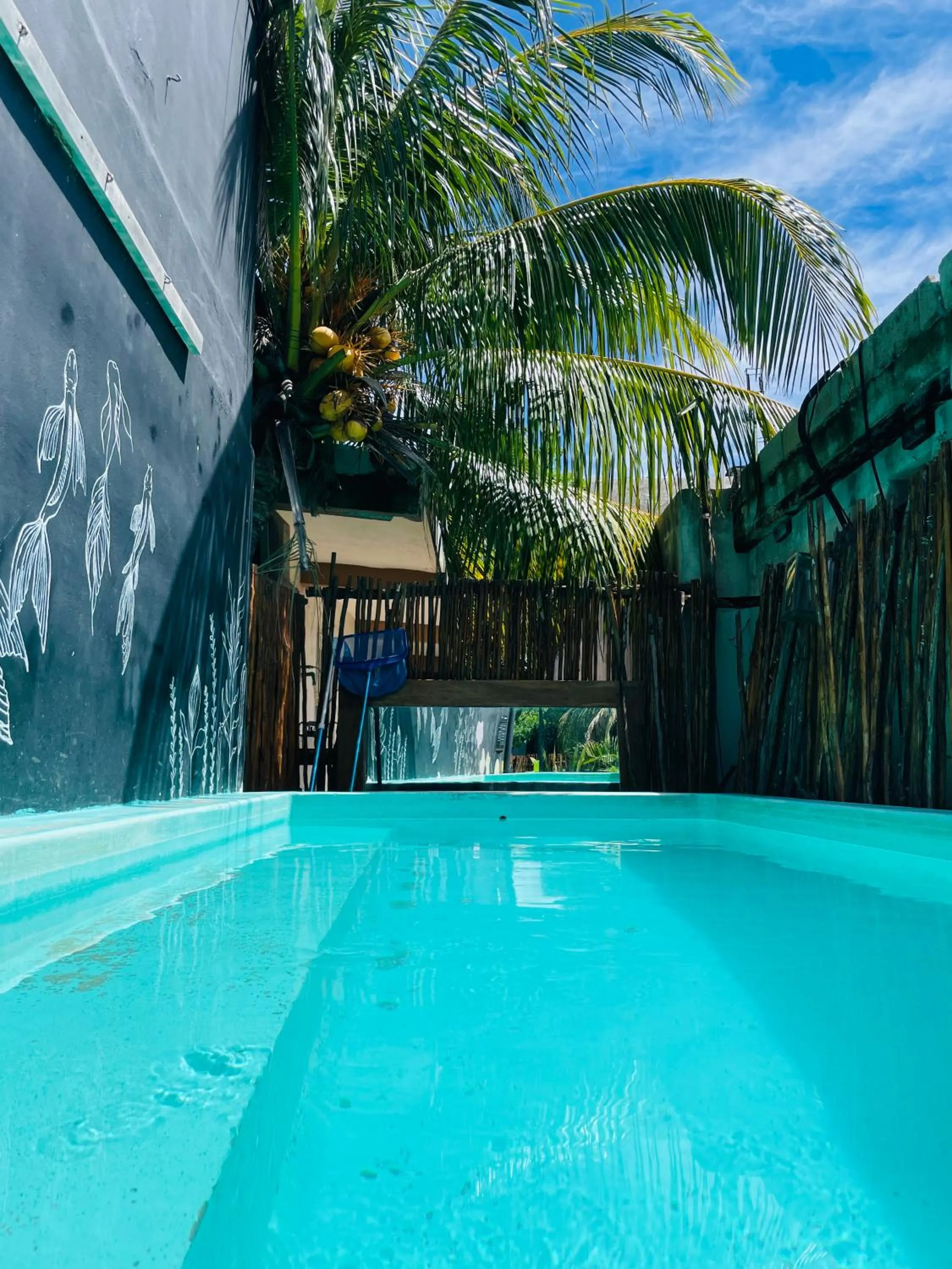 Swimming pool in Aroma Tulum & beach club