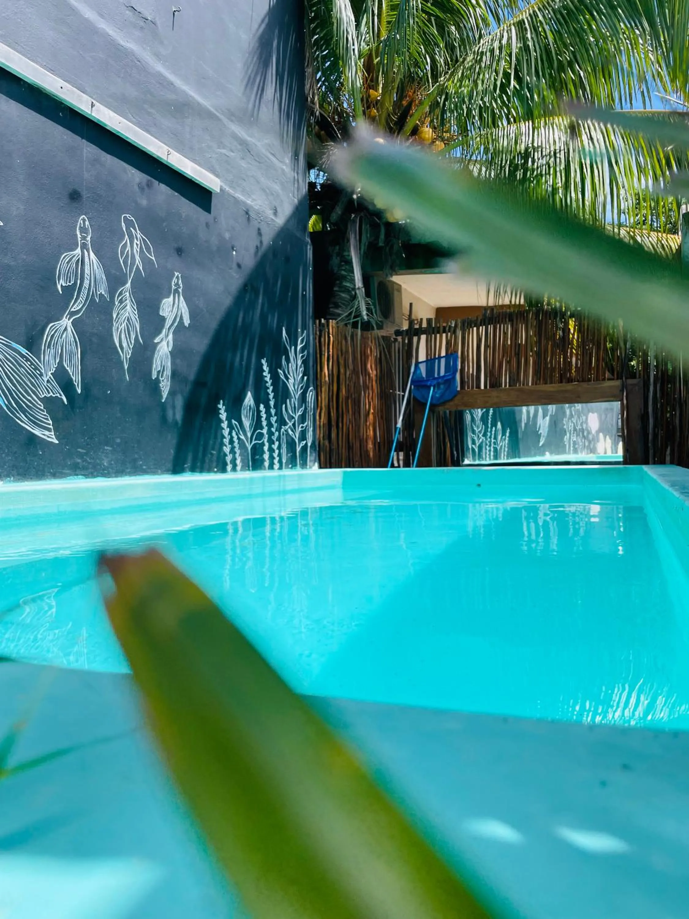 Swimming pool in Aroma Tulum & beach club