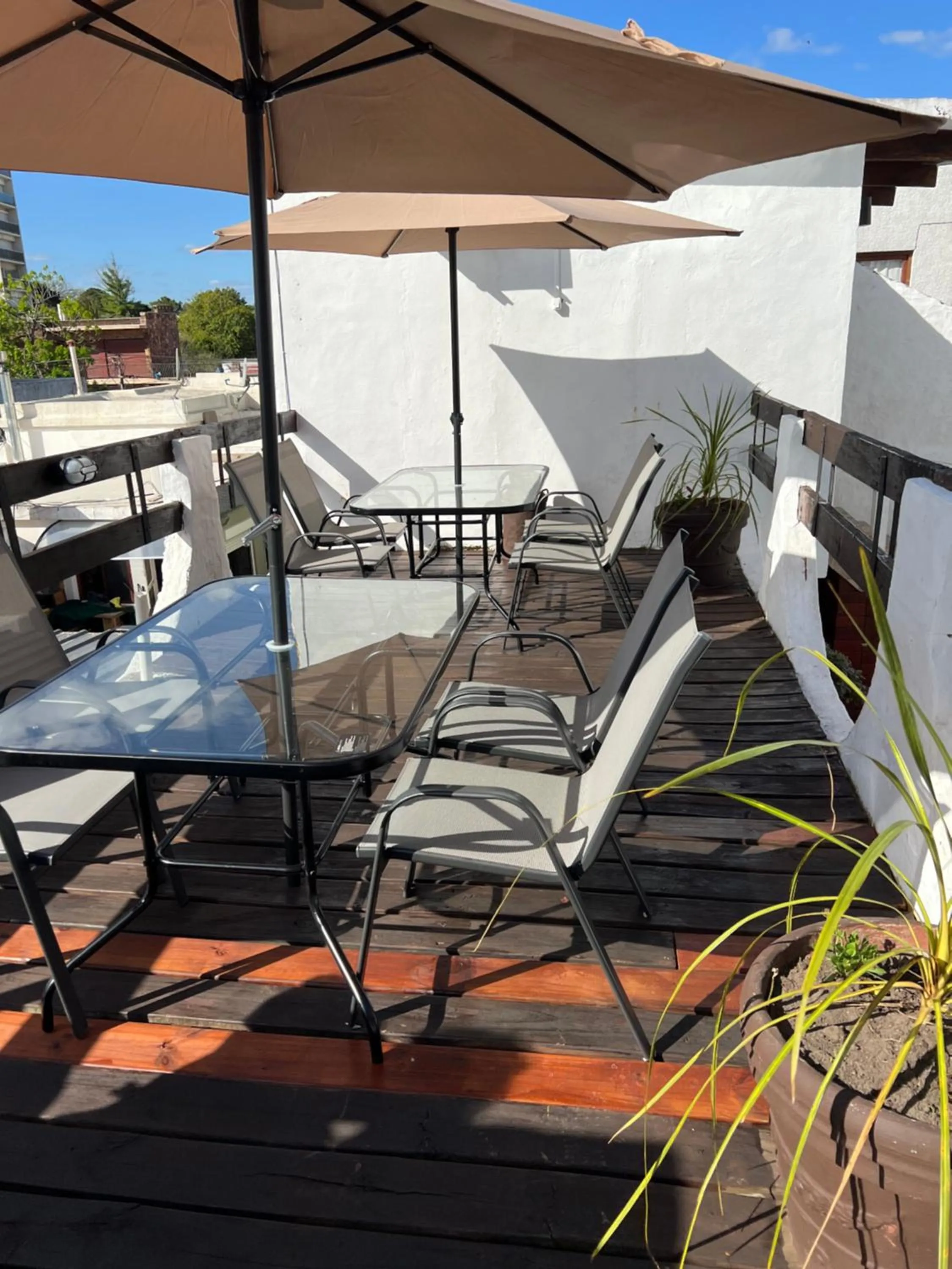 Patio in Hotel Lujan