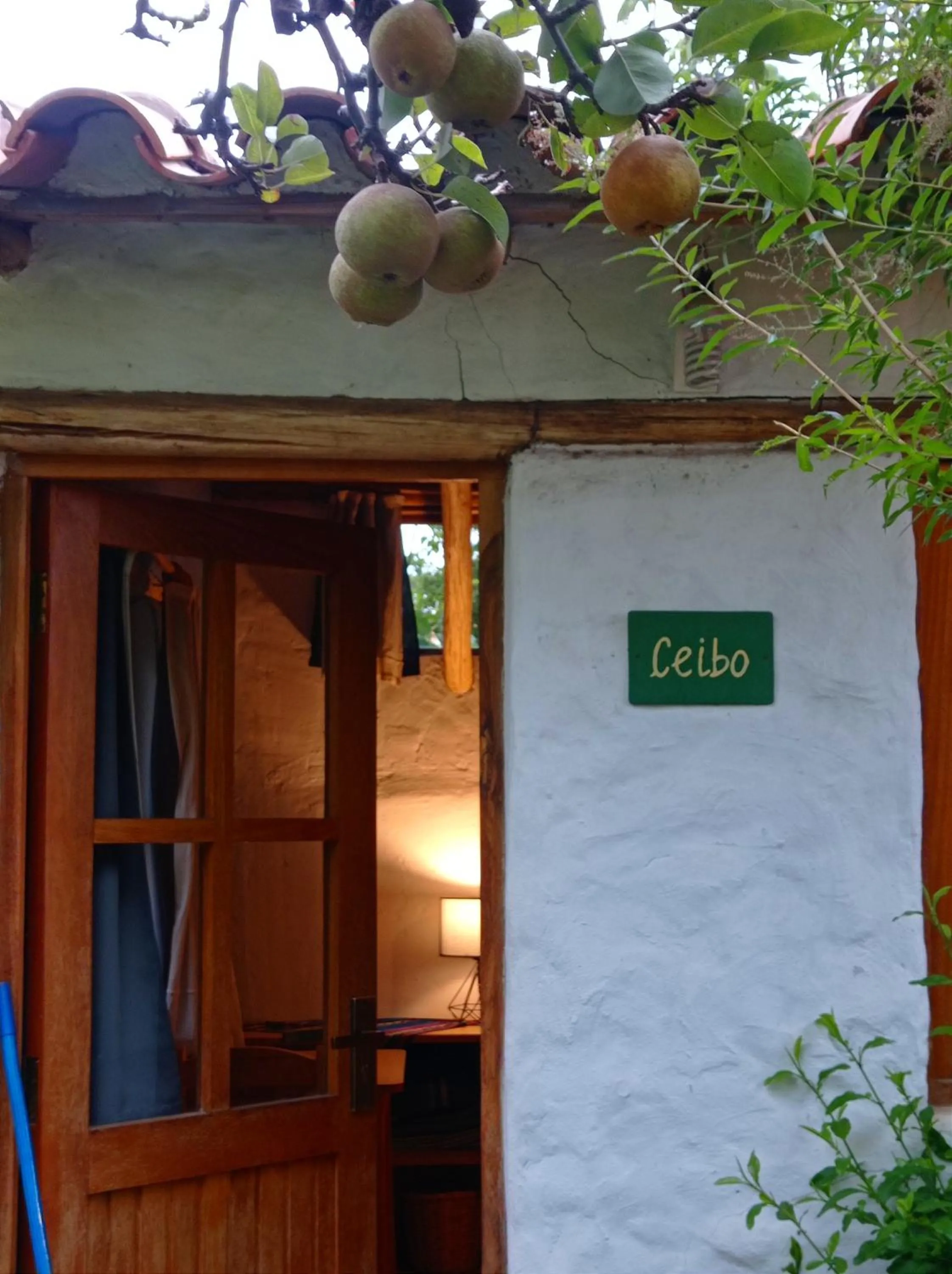 Standard Queen Room - single occupancy in La Selenita