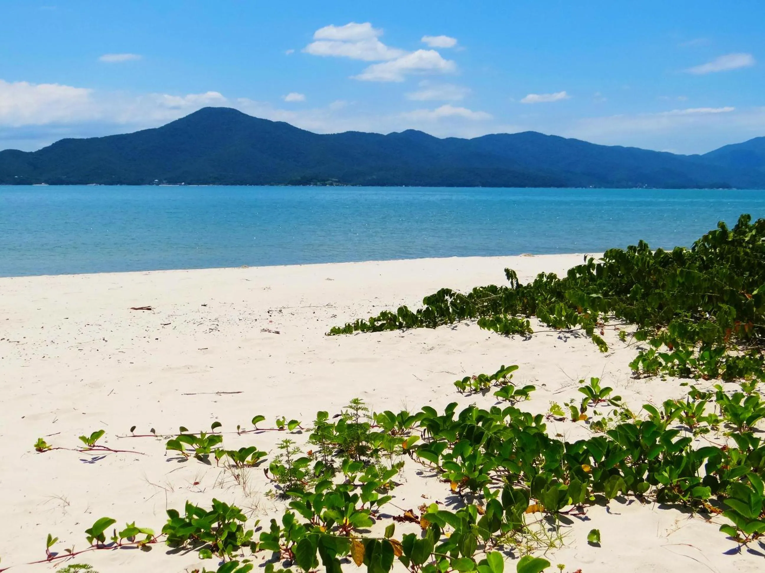 Beach in Belle Arti Pousada