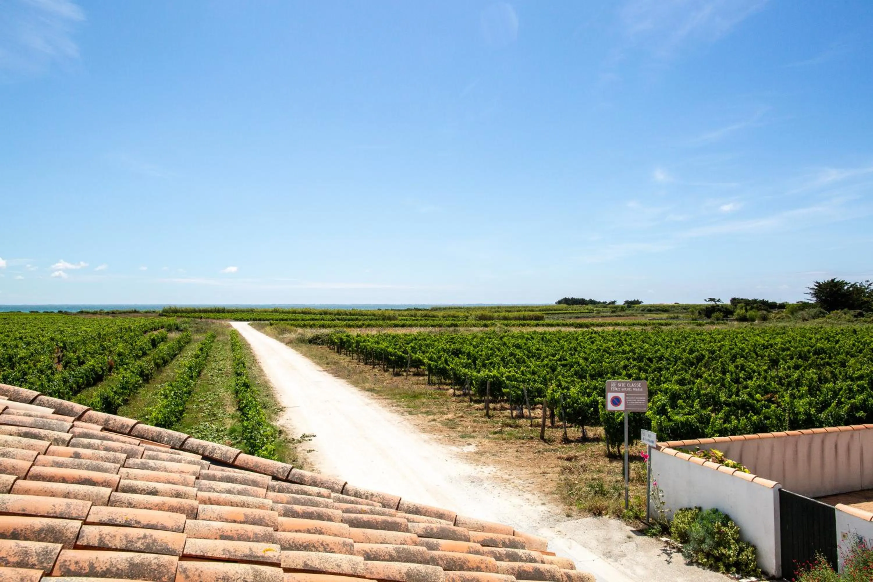 Natural landscape in Hôtel Les Vignes de la Chapelle, "The Originals Relais"