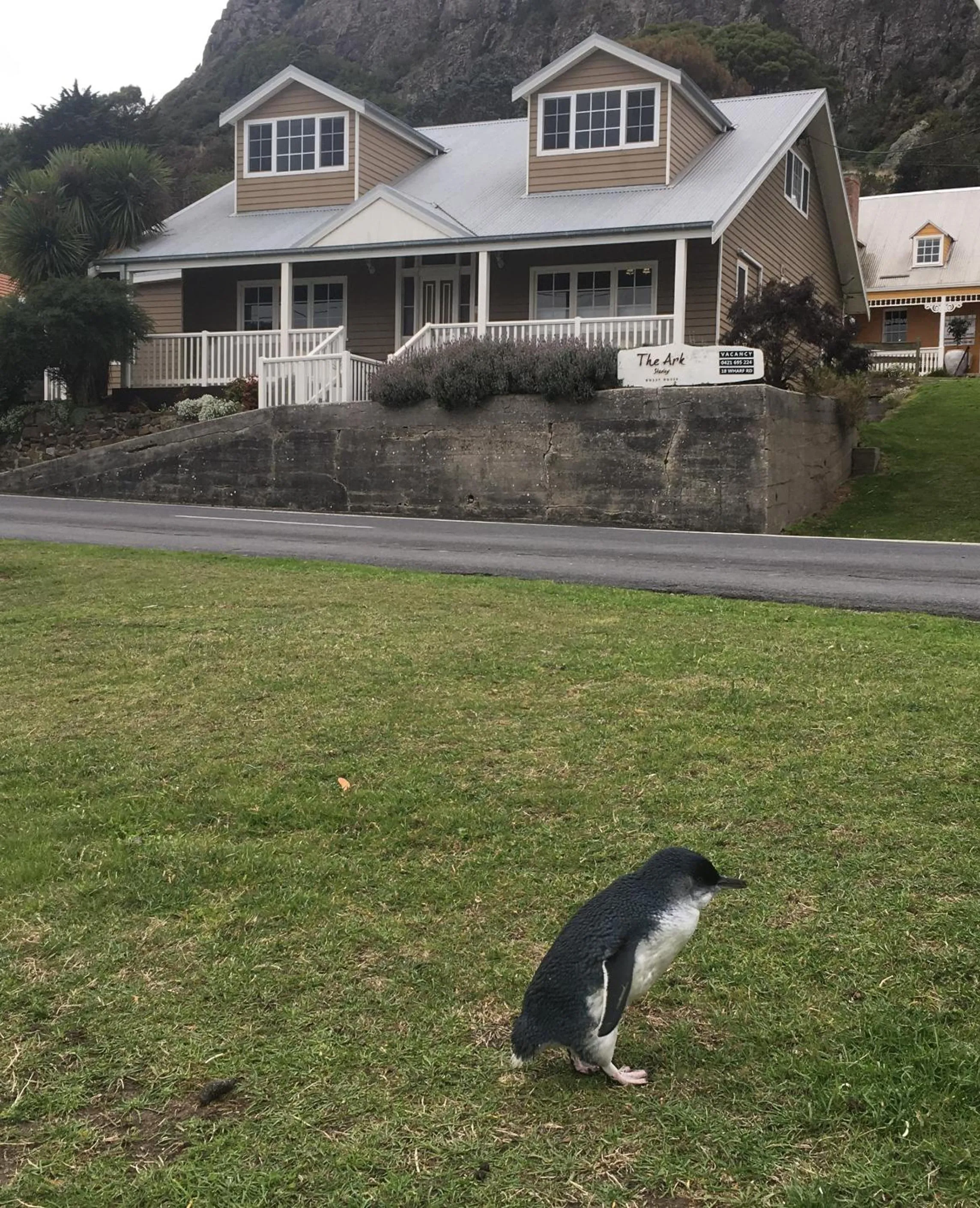 The Ark Stanley Luxury Bed and Breakfast