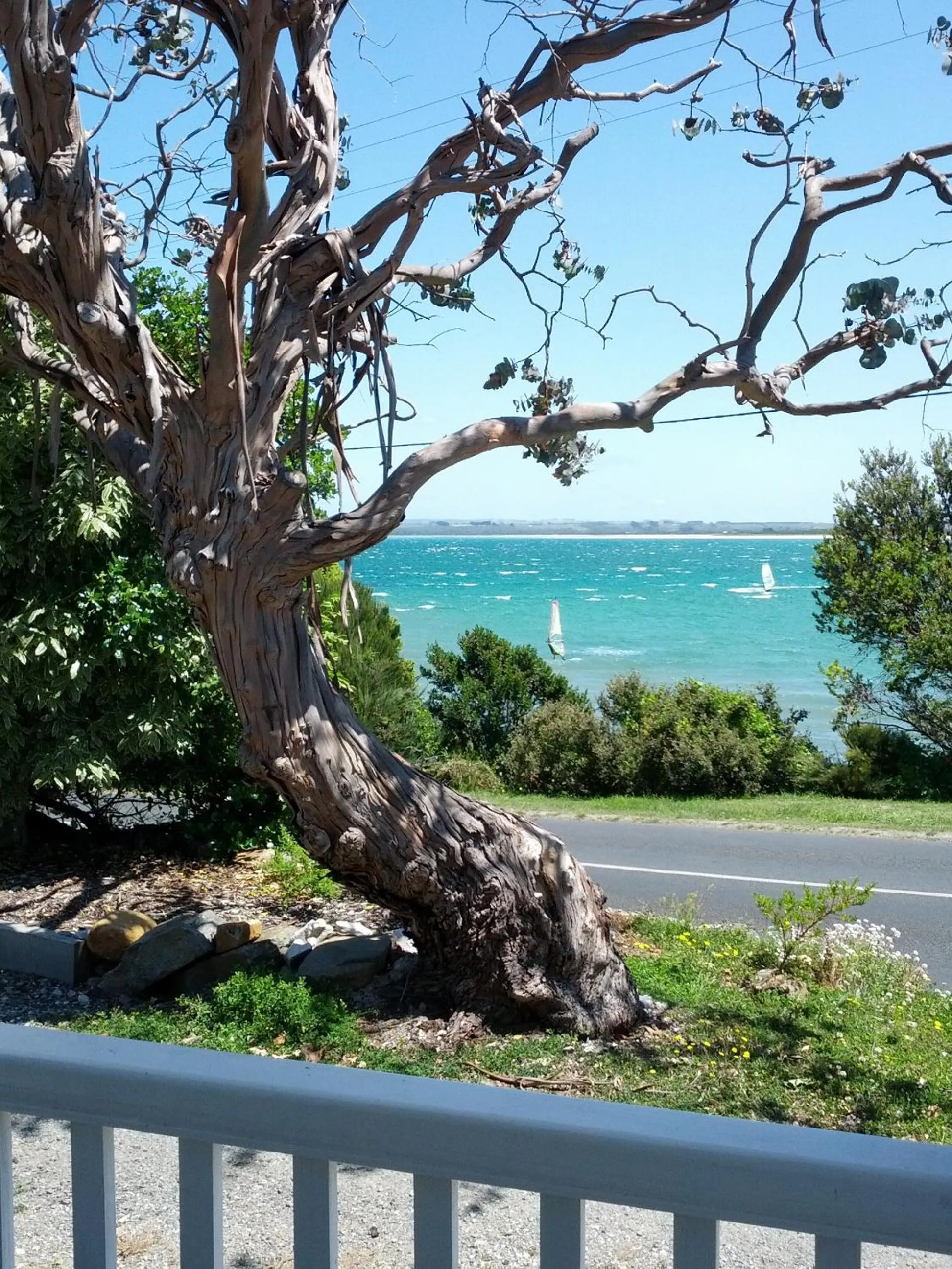 Day in The Ark Stanley Luxury Bed and Breakfast