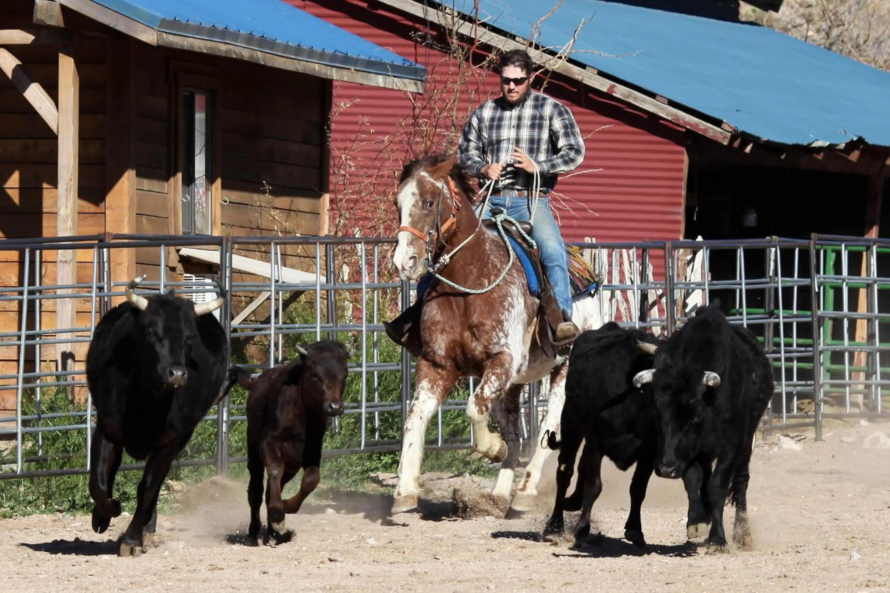 Staff in Grand Canyon Western Ranch