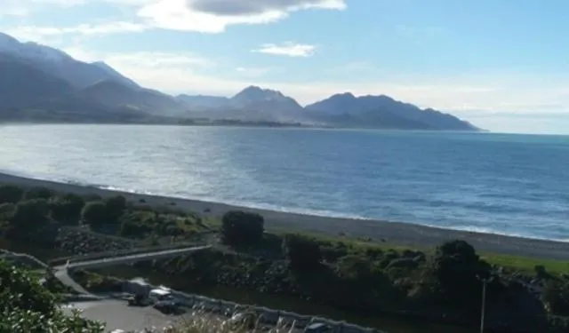 Garden in Bendamere House Bed & Breakfast