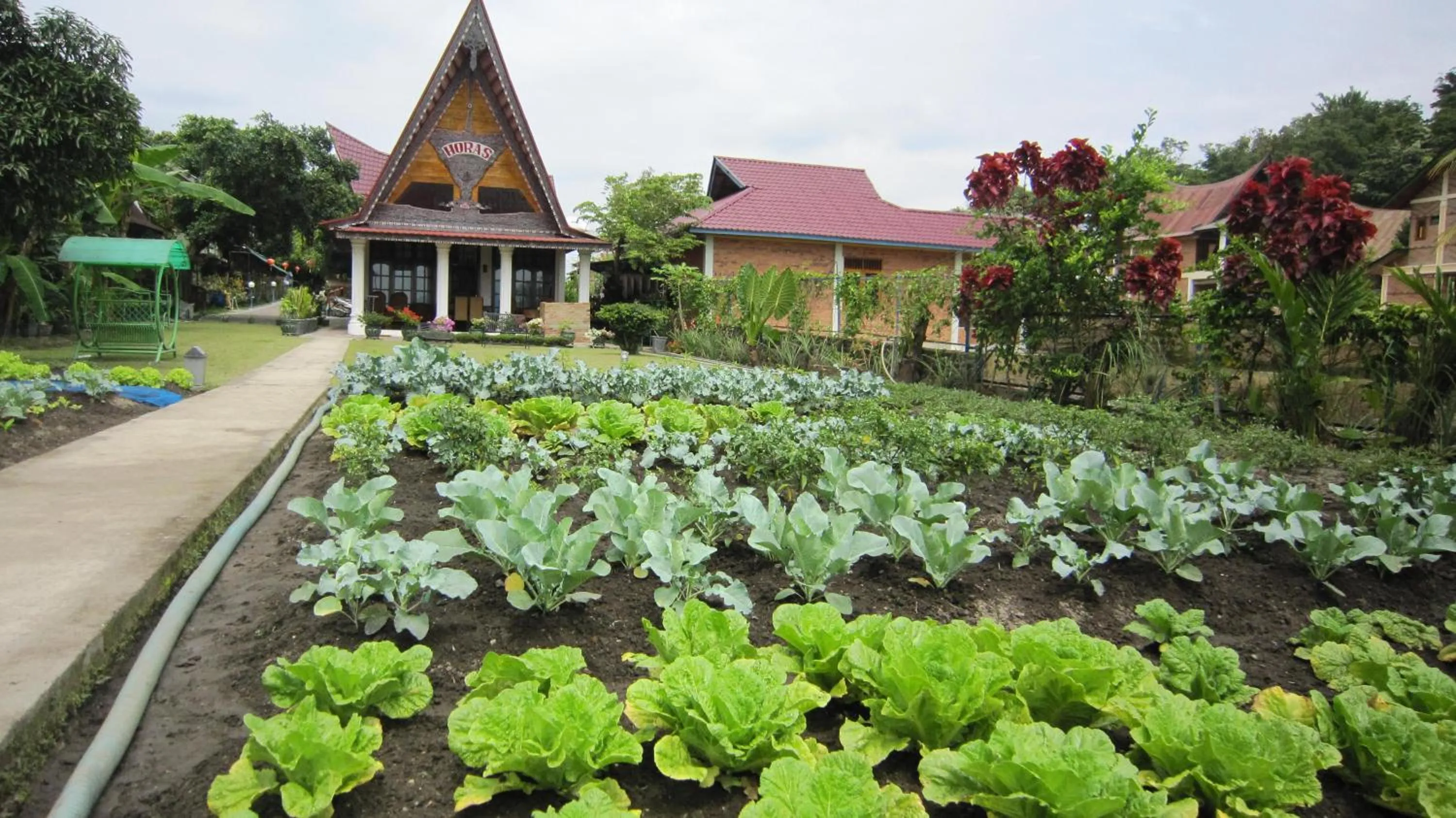 Facade/entrance in Horas Family Home