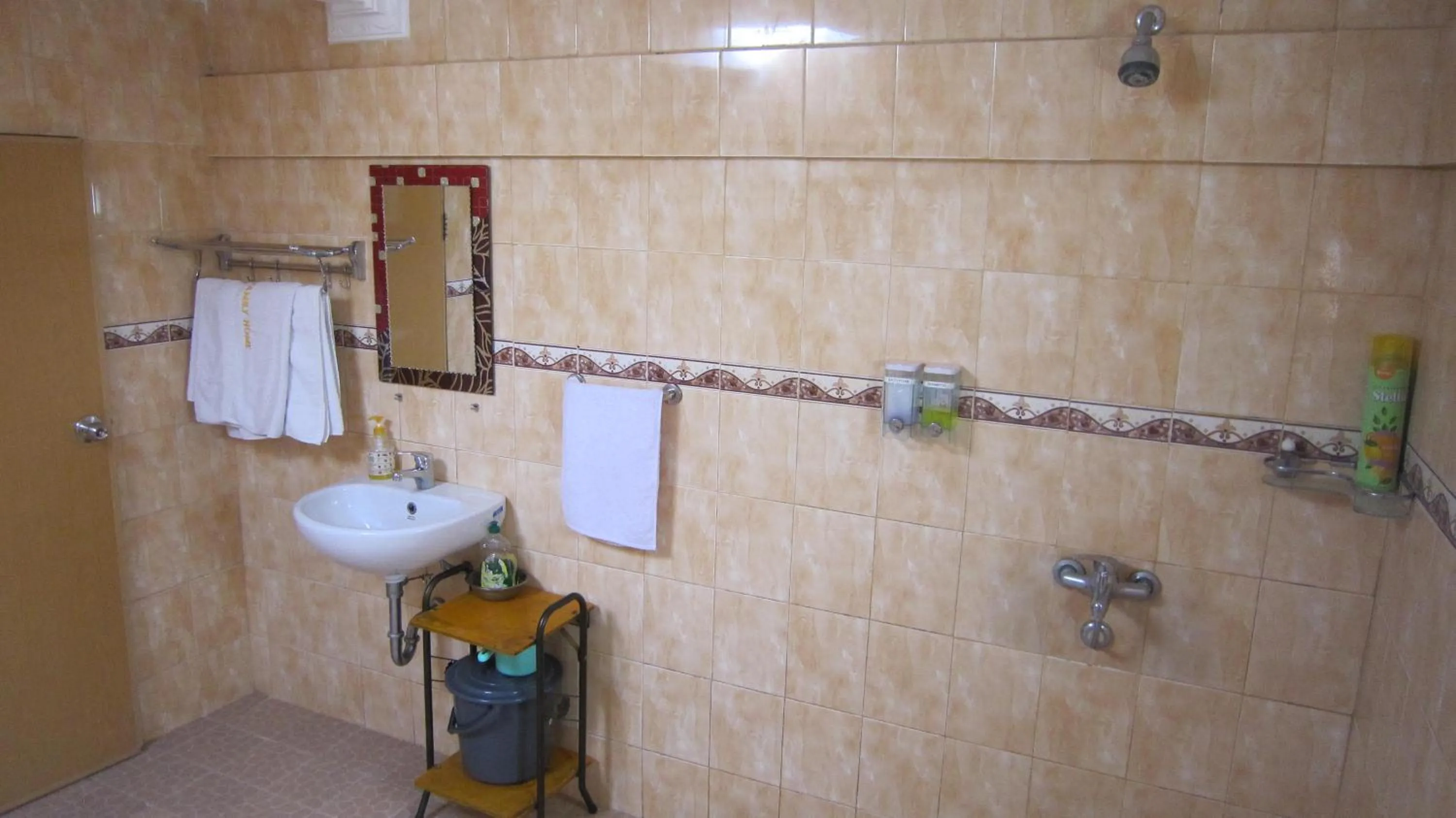 Shower in Horas Family Home