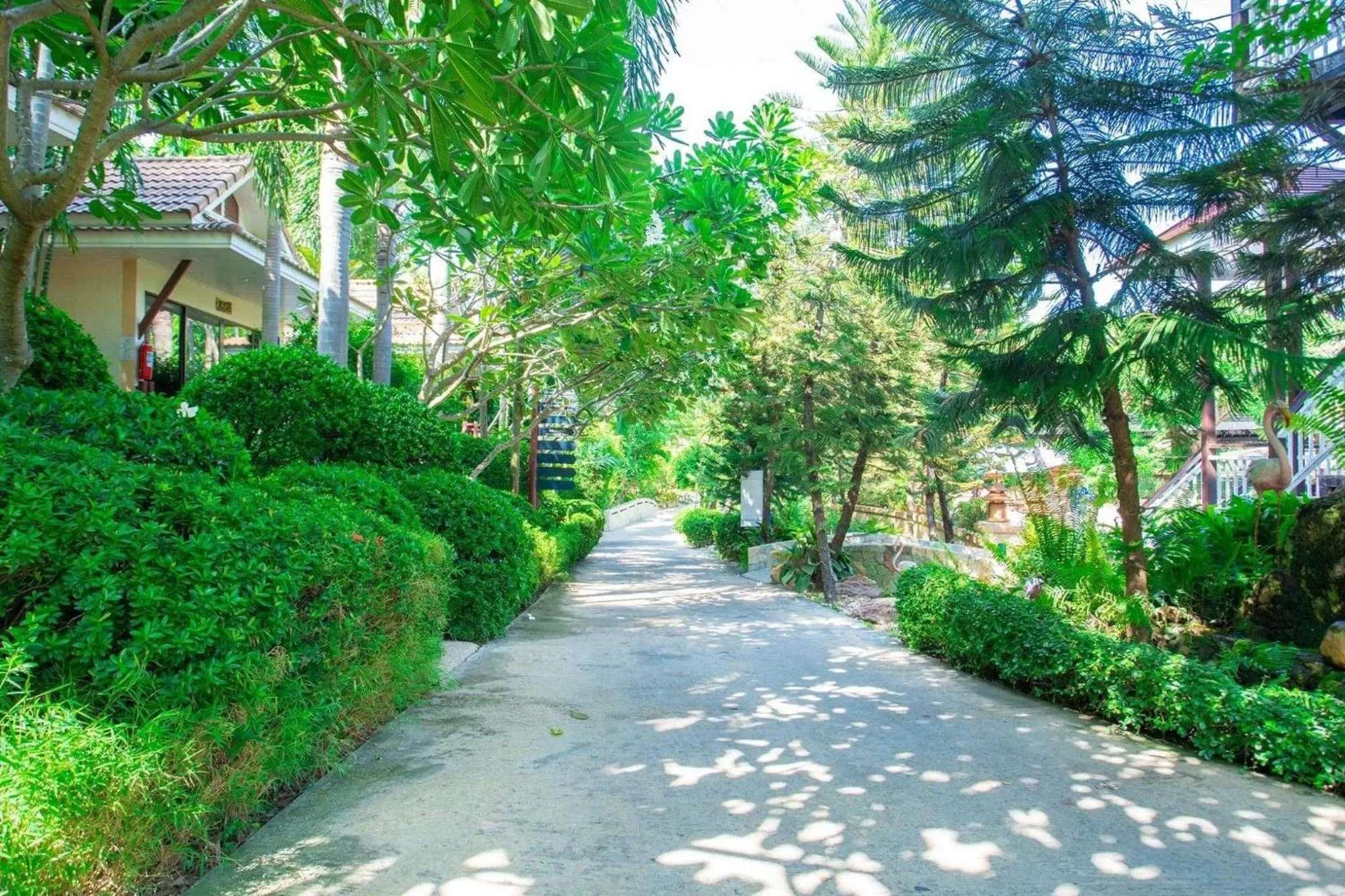 Natural landscape in Chawalun Resort