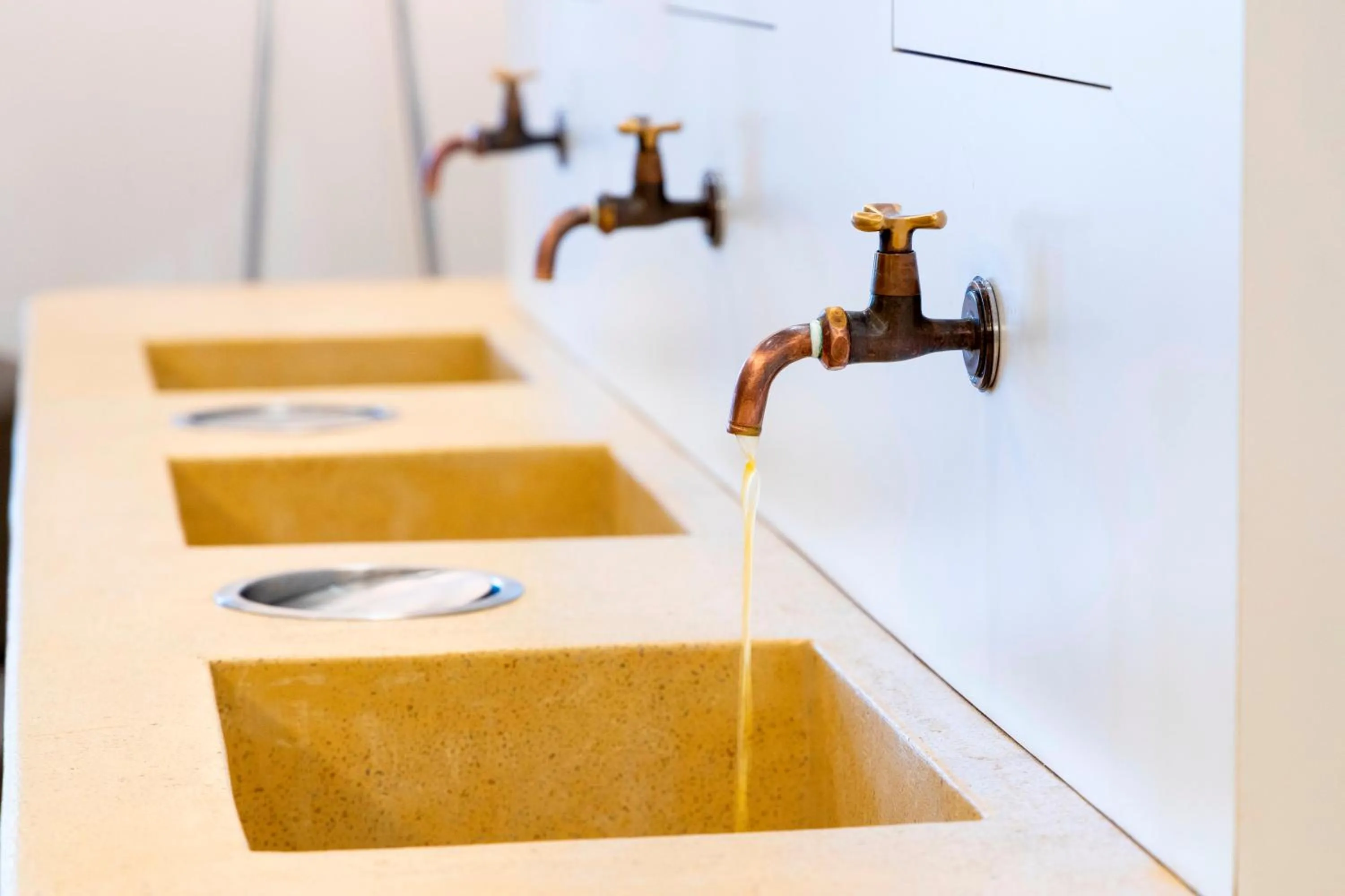 Lobby or reception in DogoYaya