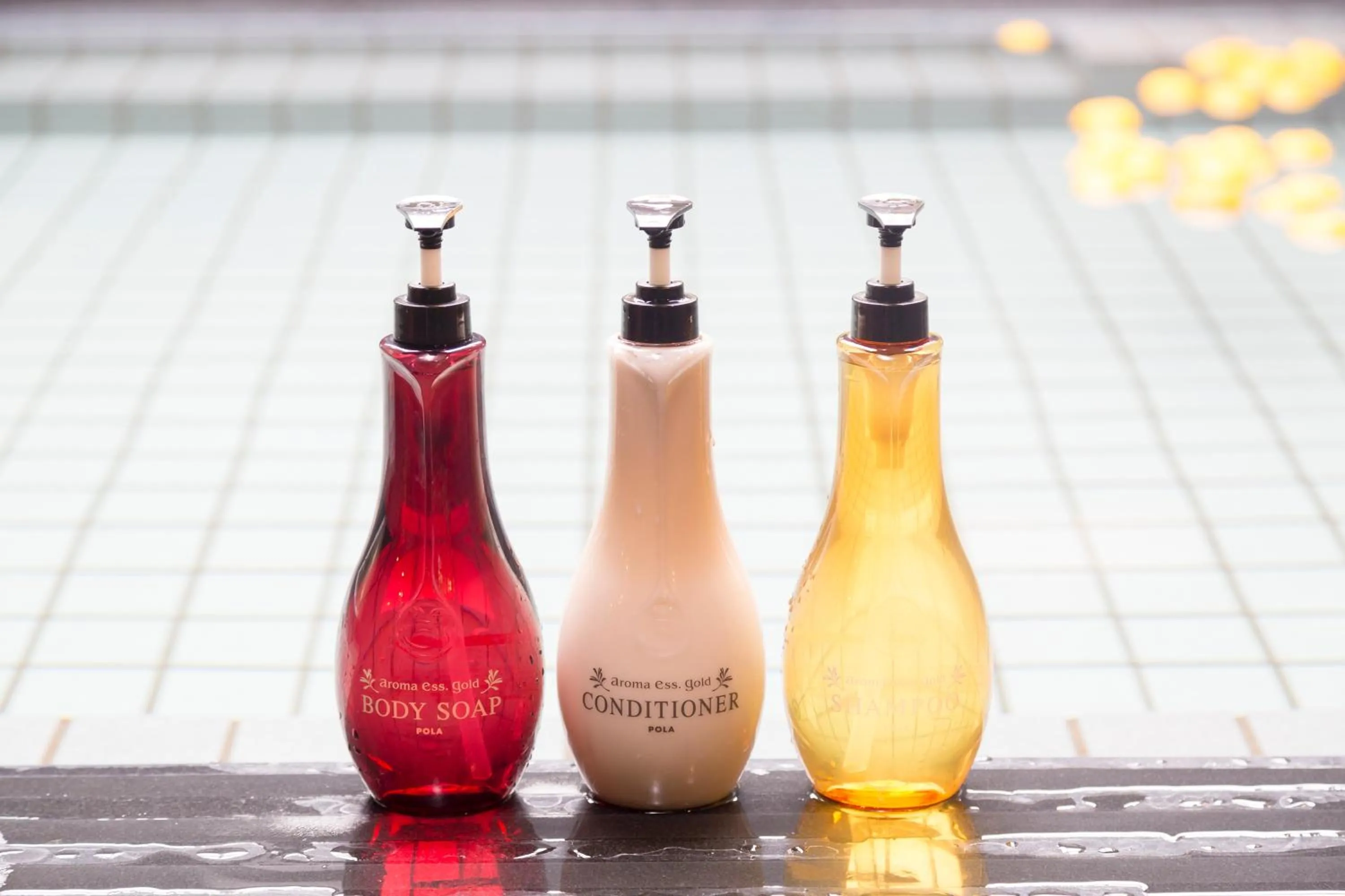 Hot Spring Bath in Dormy Inn Maebashi