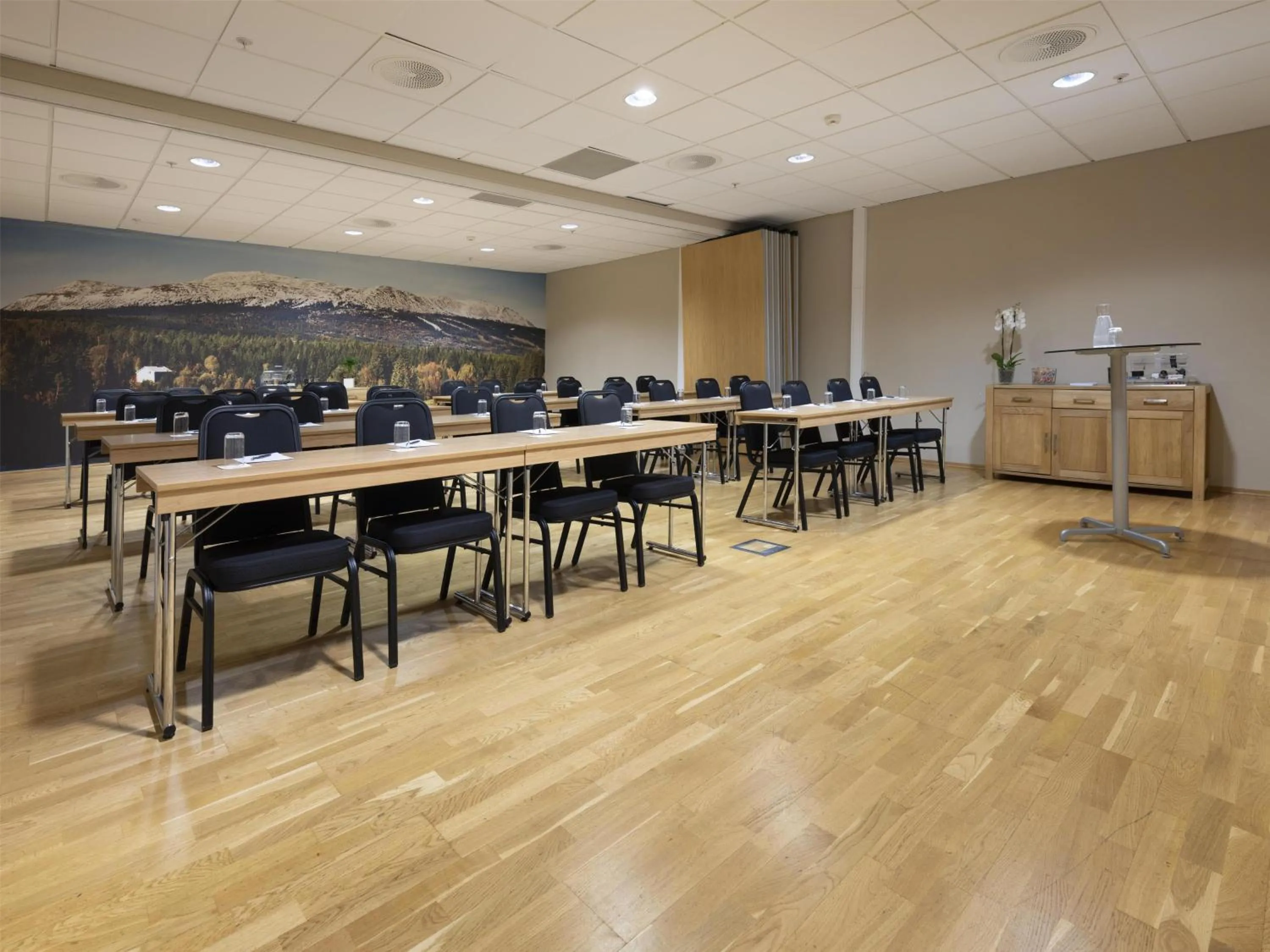 Meeting/conference room in Radisson Blu Resort, Trysil