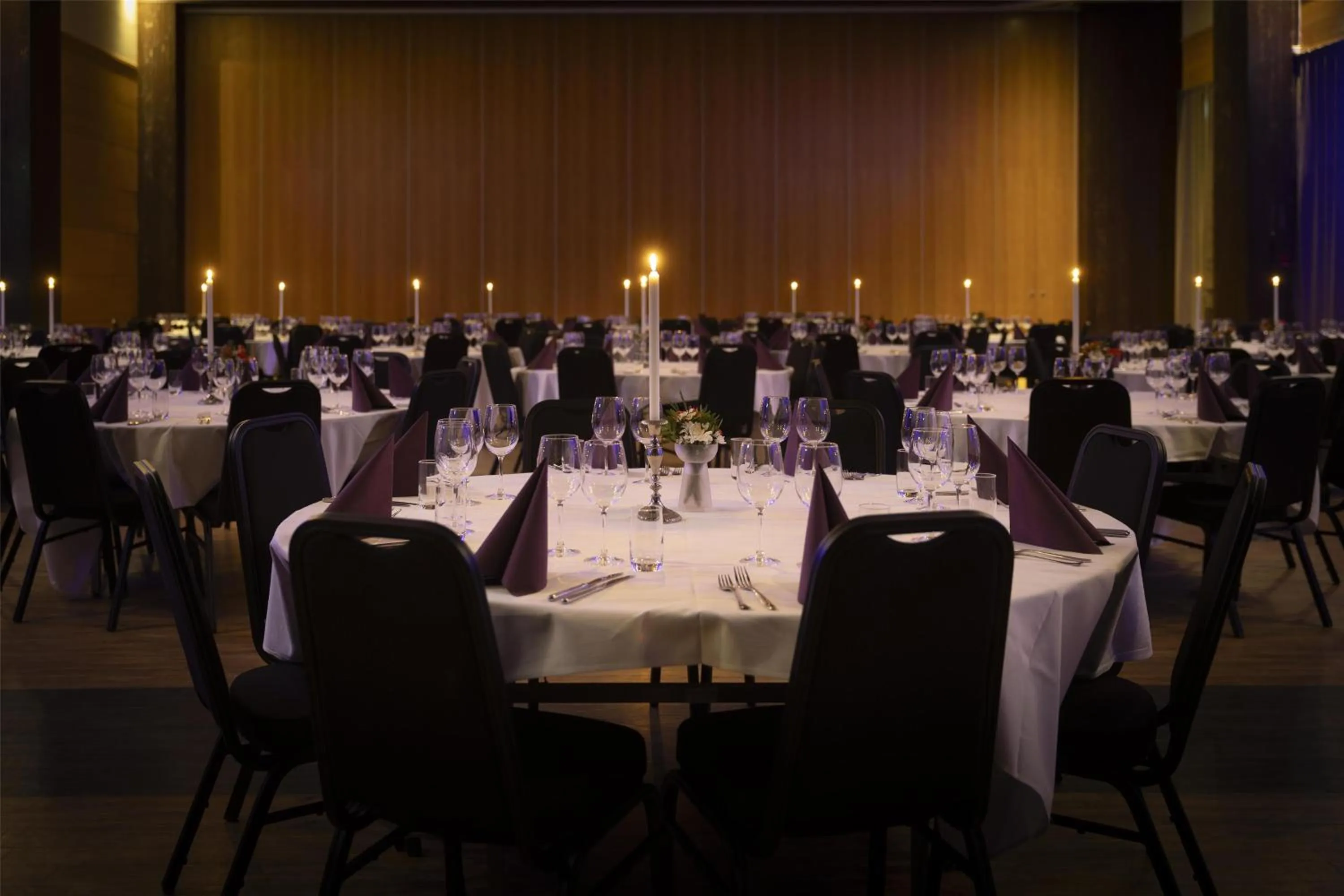 Banquet/Function facilities in Radisson Blu Resort, Trysil