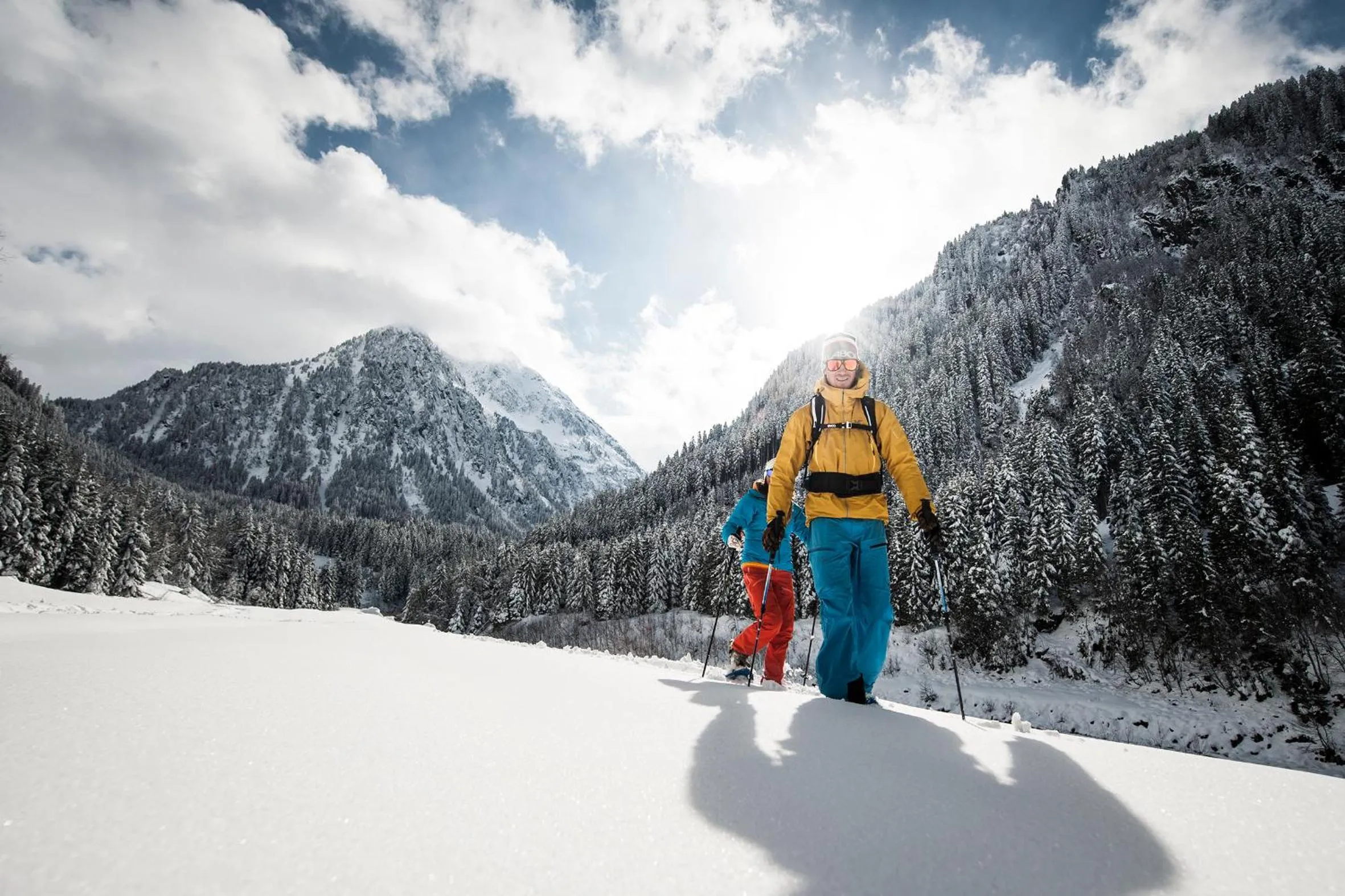 Natural landscape in Pension Almrausch