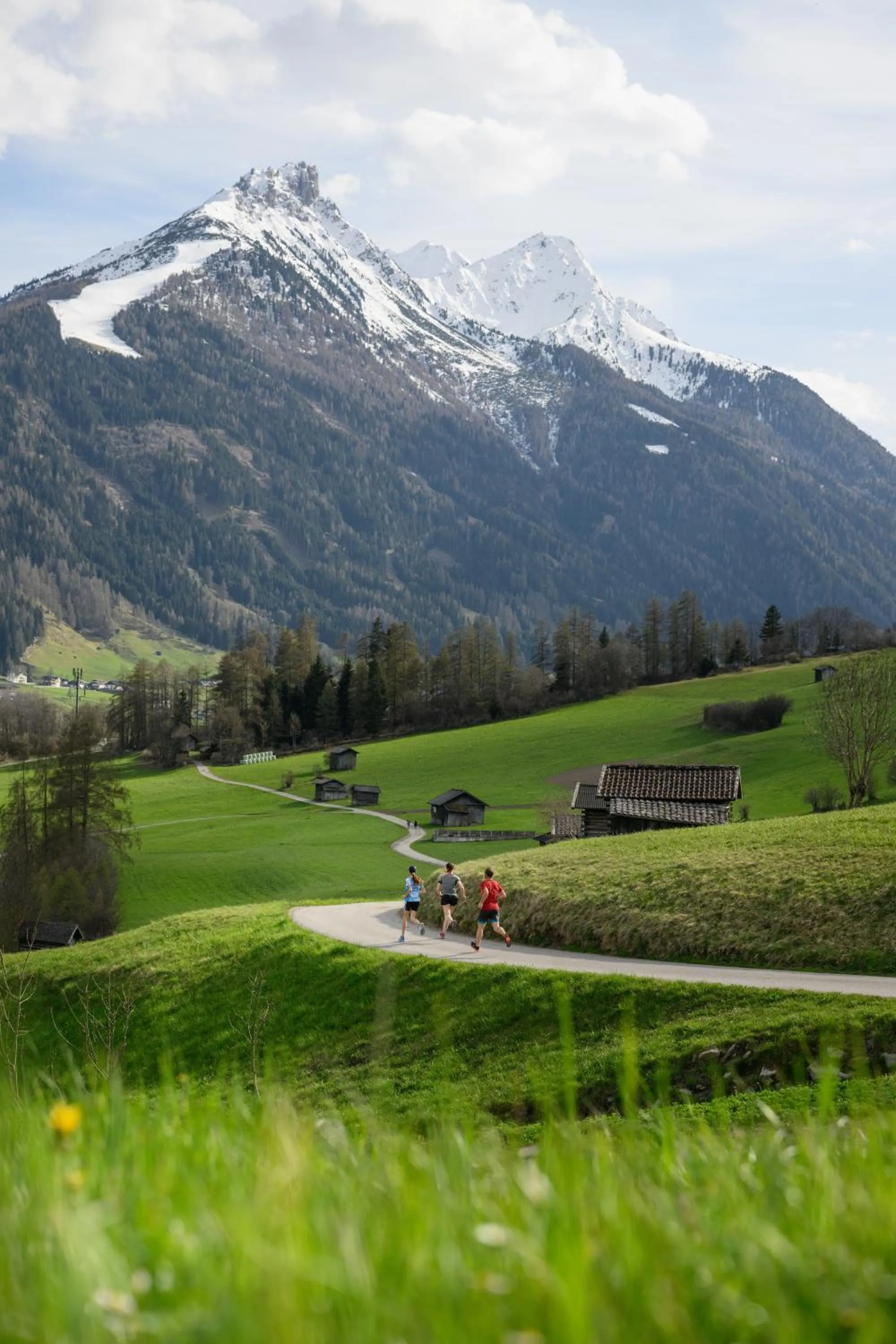 Natural landscape in Pension Almrausch