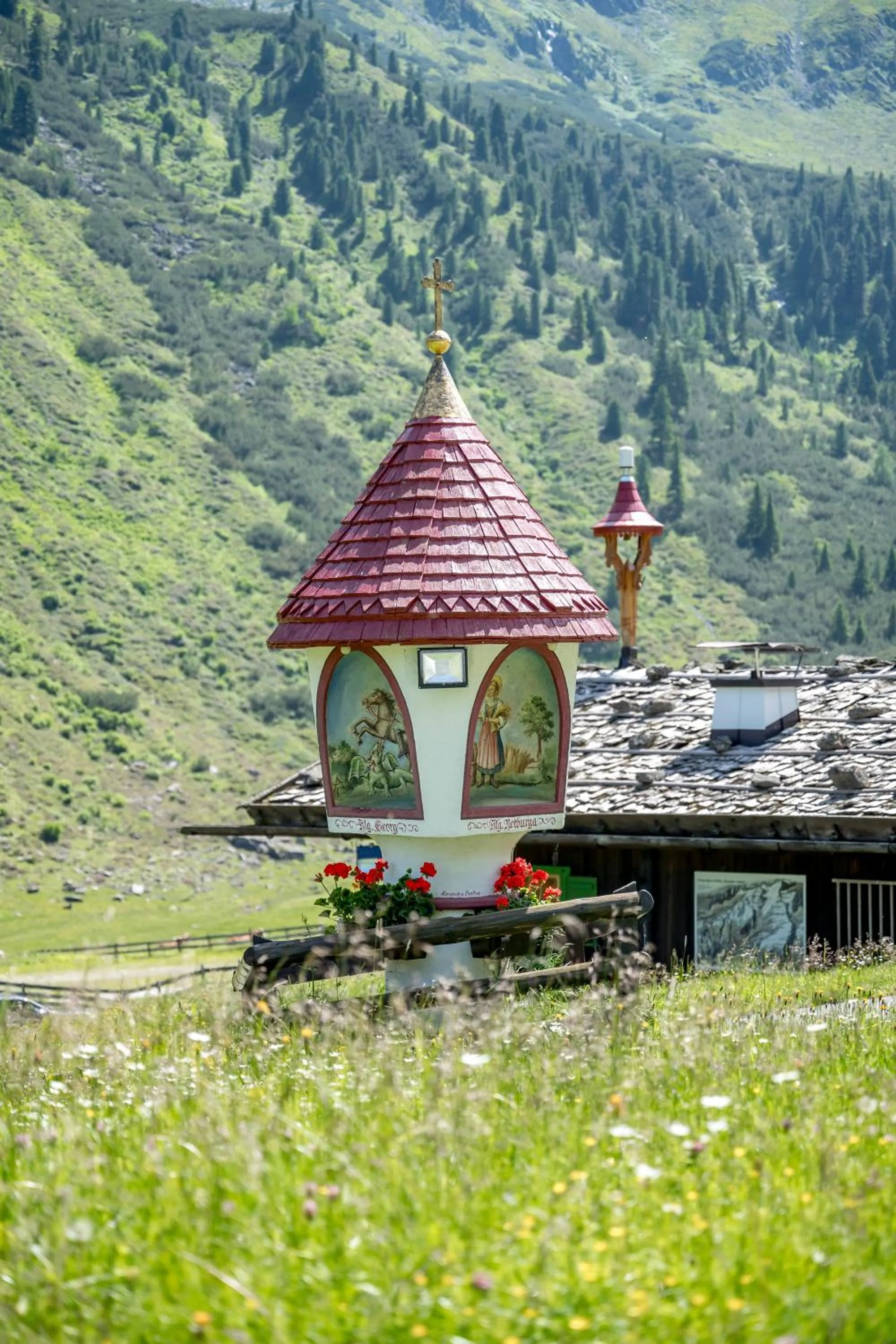 Natural landscape in Pension Almrausch