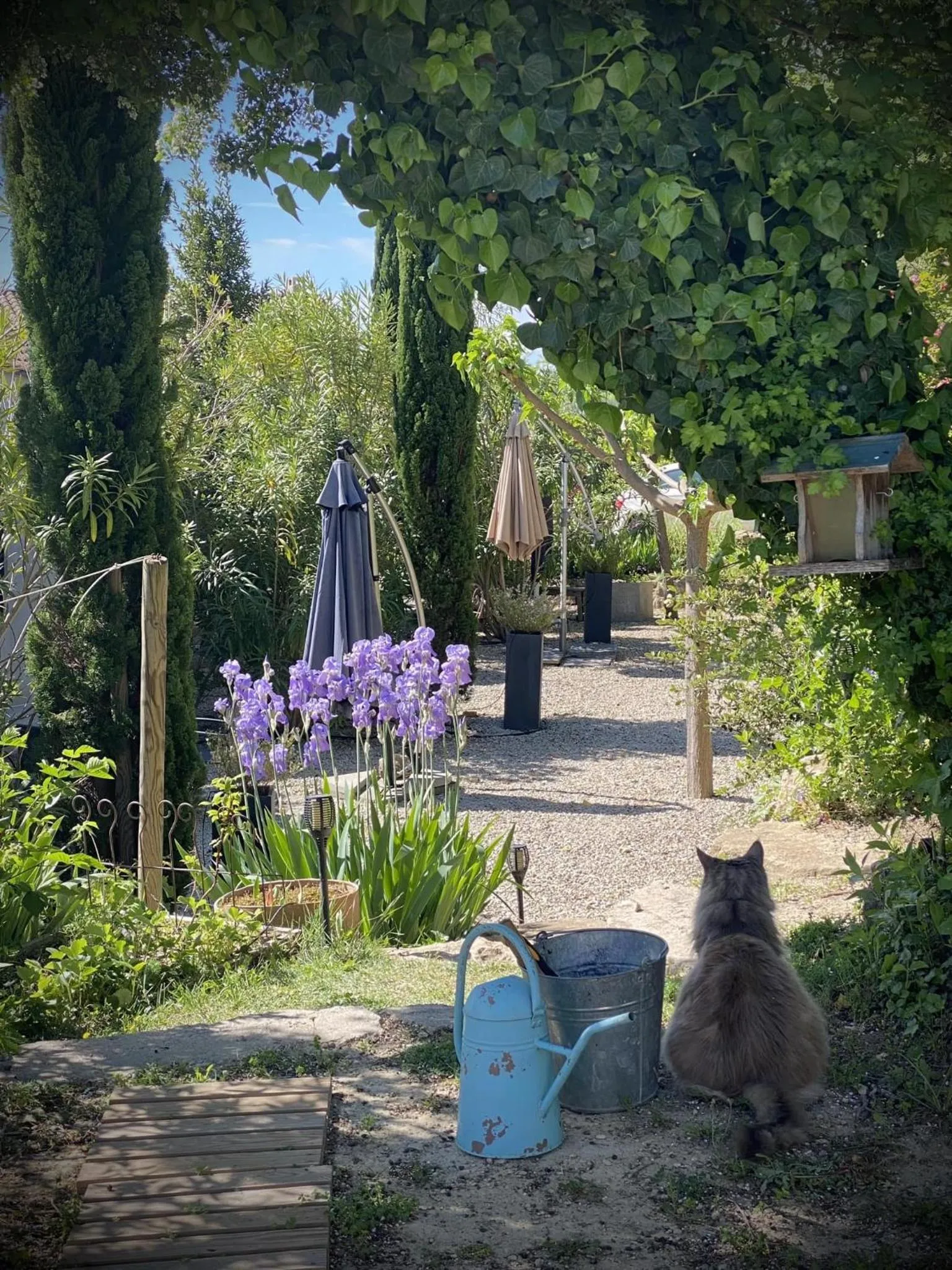 Garden in Le Jardin de Lau
