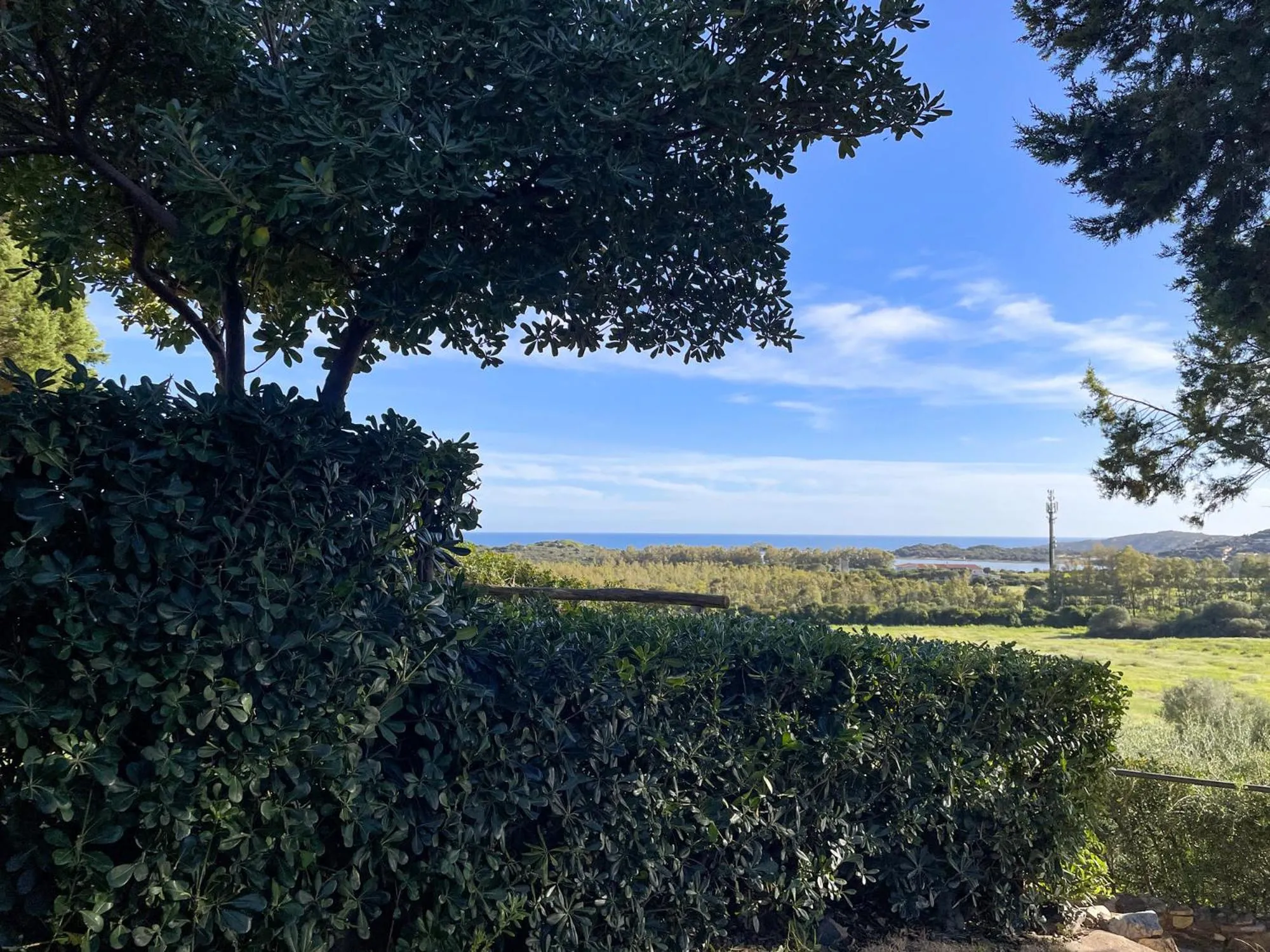 Garden view in CASE BELVEDERE