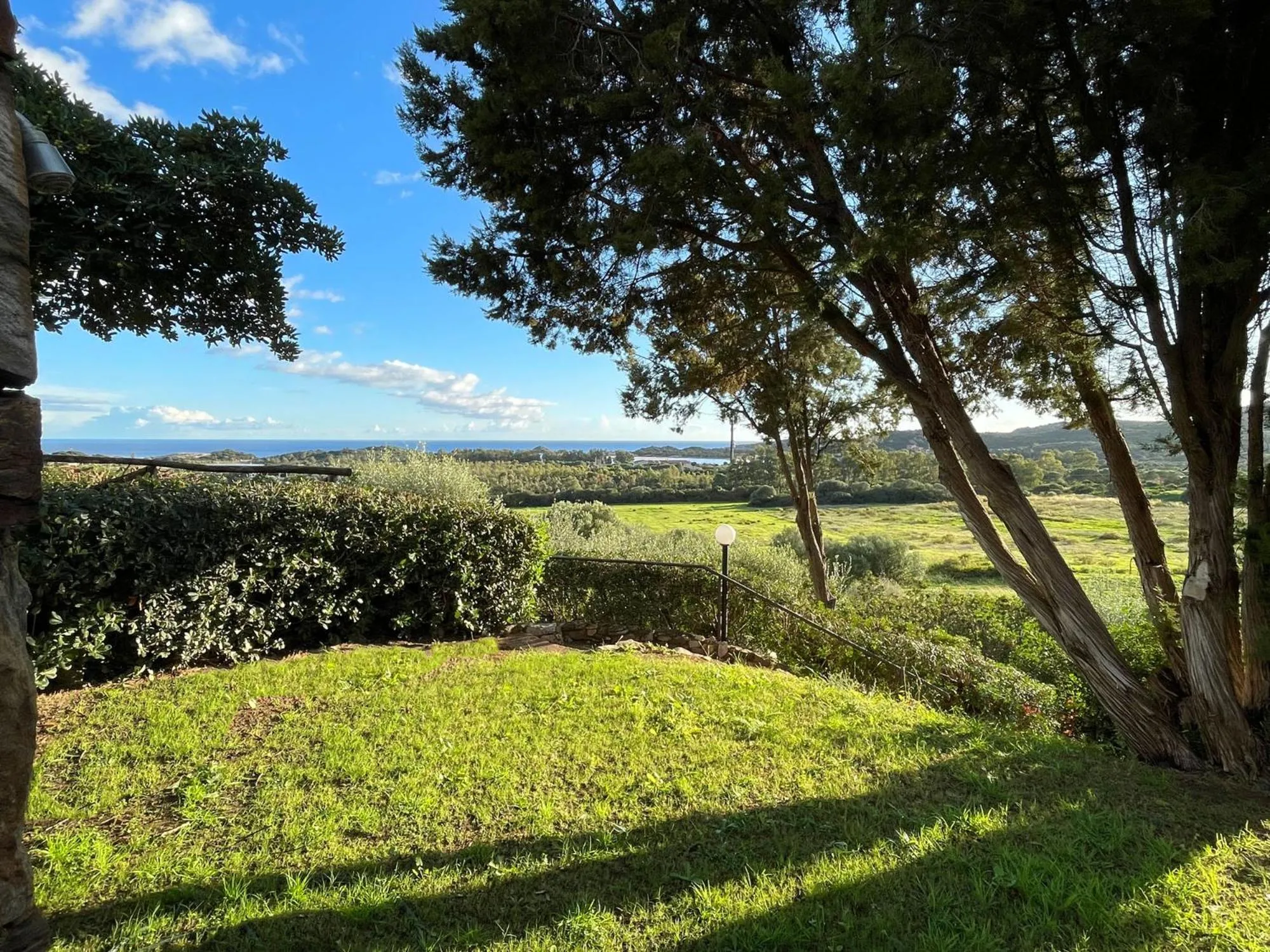Natural landscape in CASE BELVEDERE