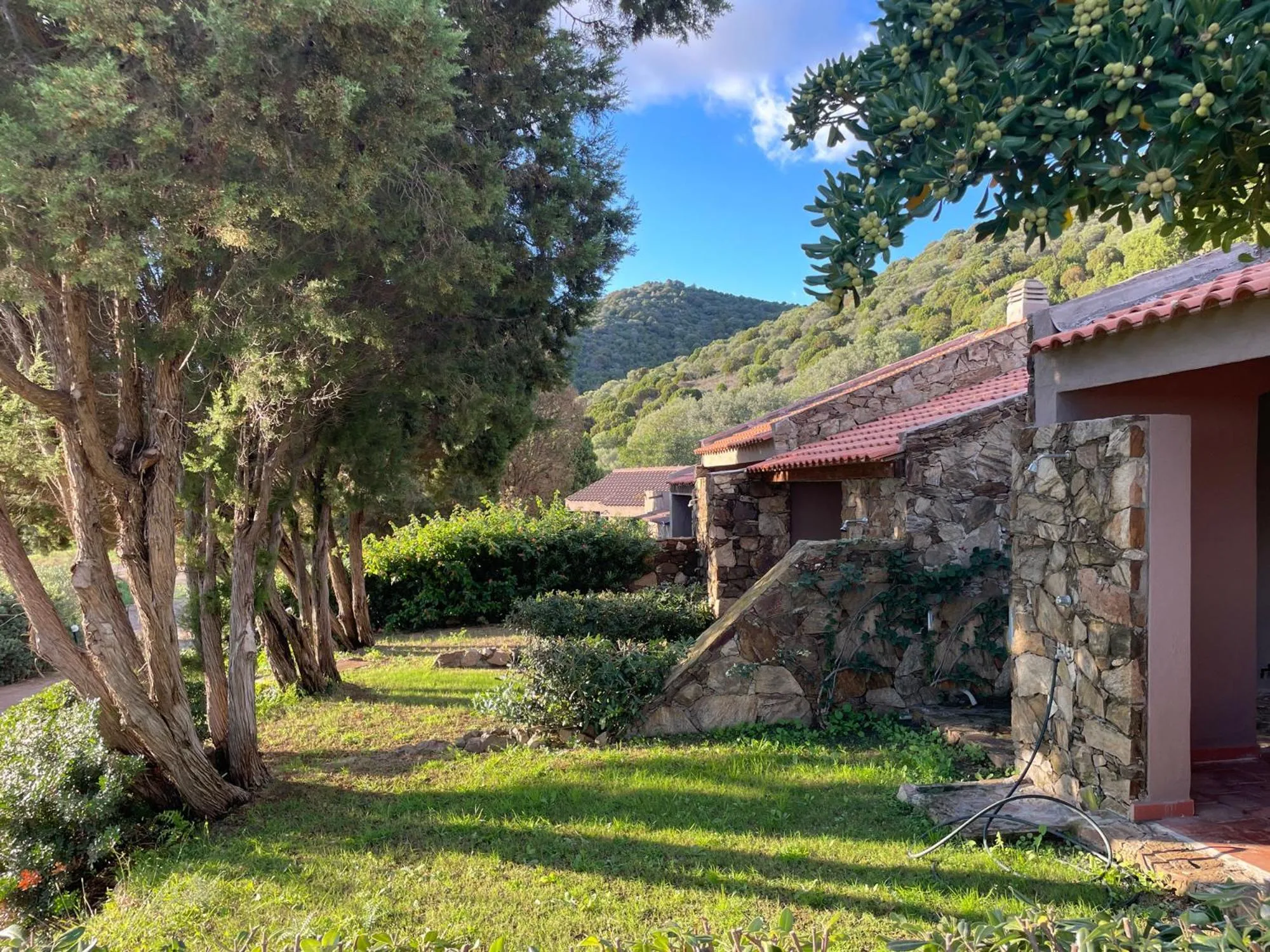 Property building in CASE BELVEDERE