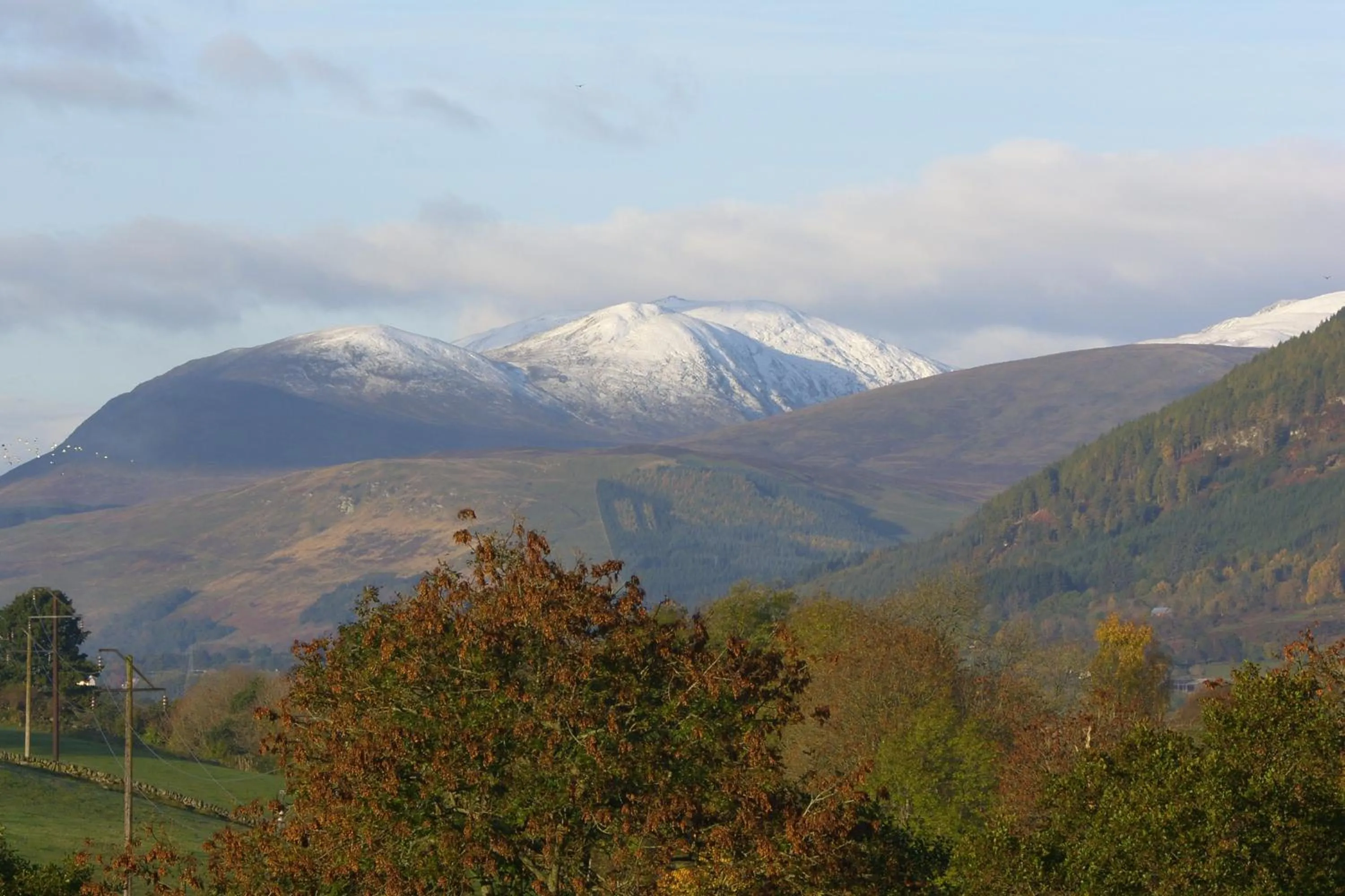 View (from property/room) in Brae House