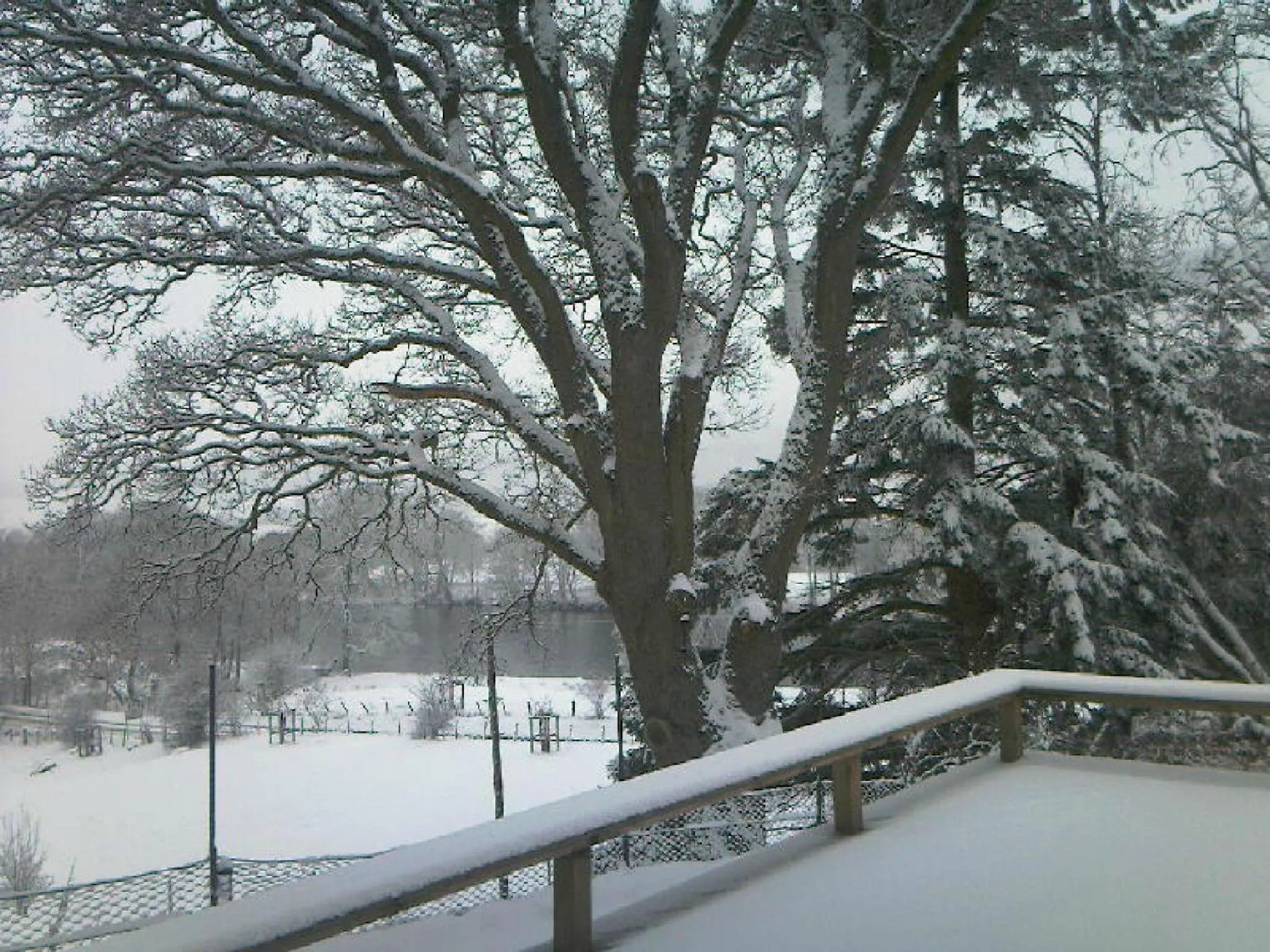 Winter in Brae House