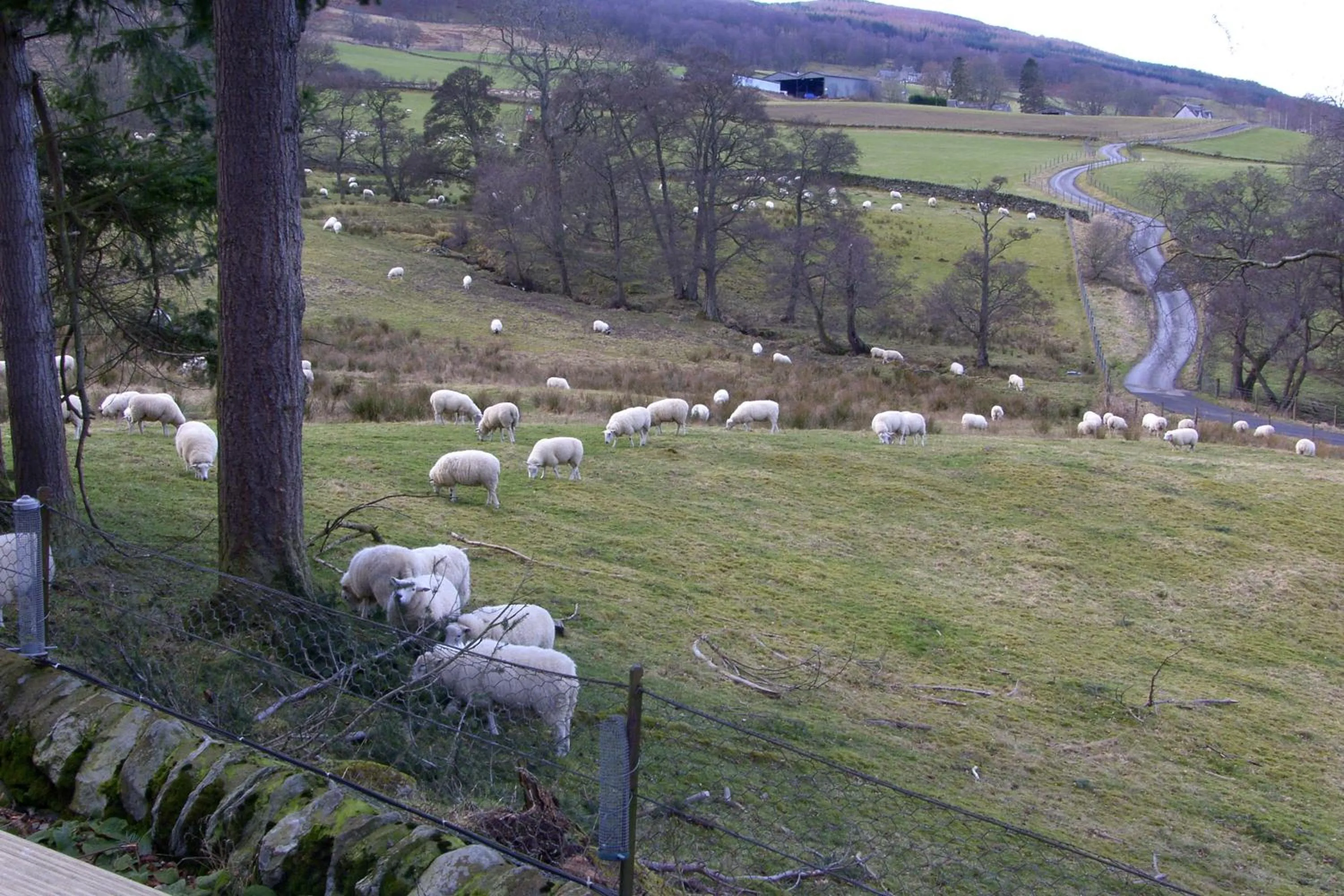 View (from property/room) in Brae House