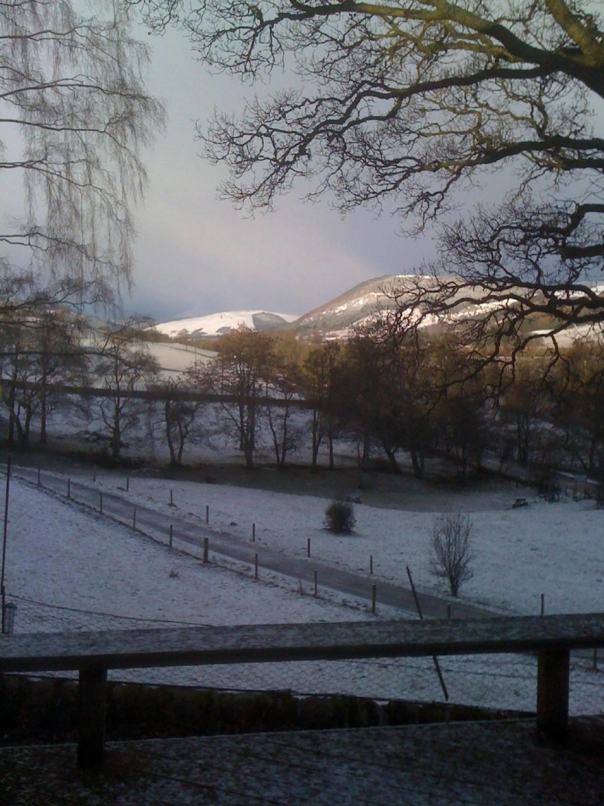 Winter in Brae House