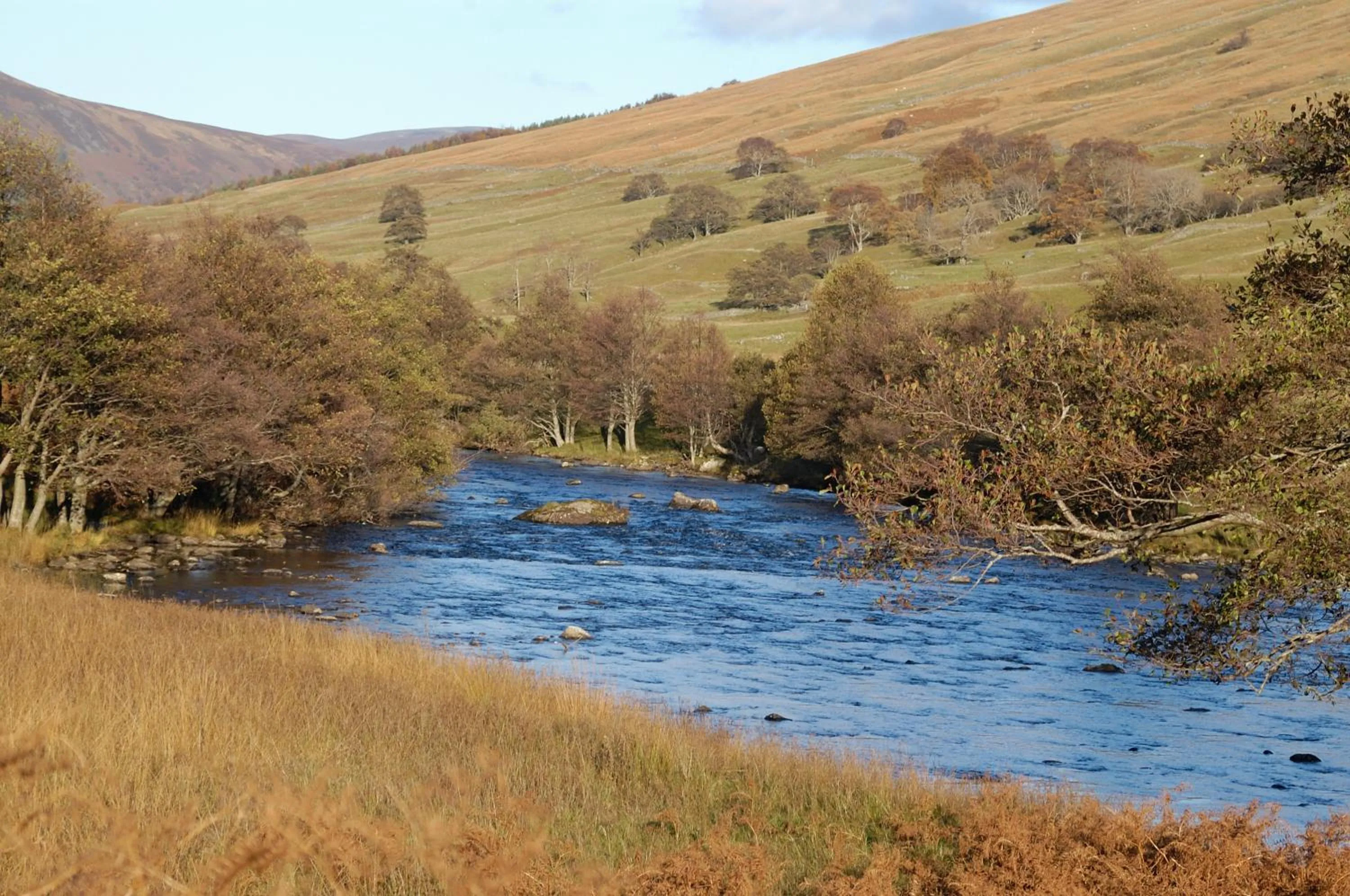 Natural landscape in Brae House