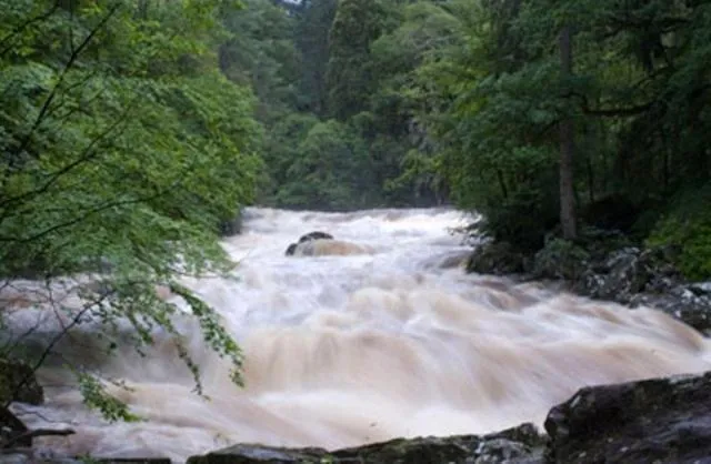 Natural landscape in Brae House